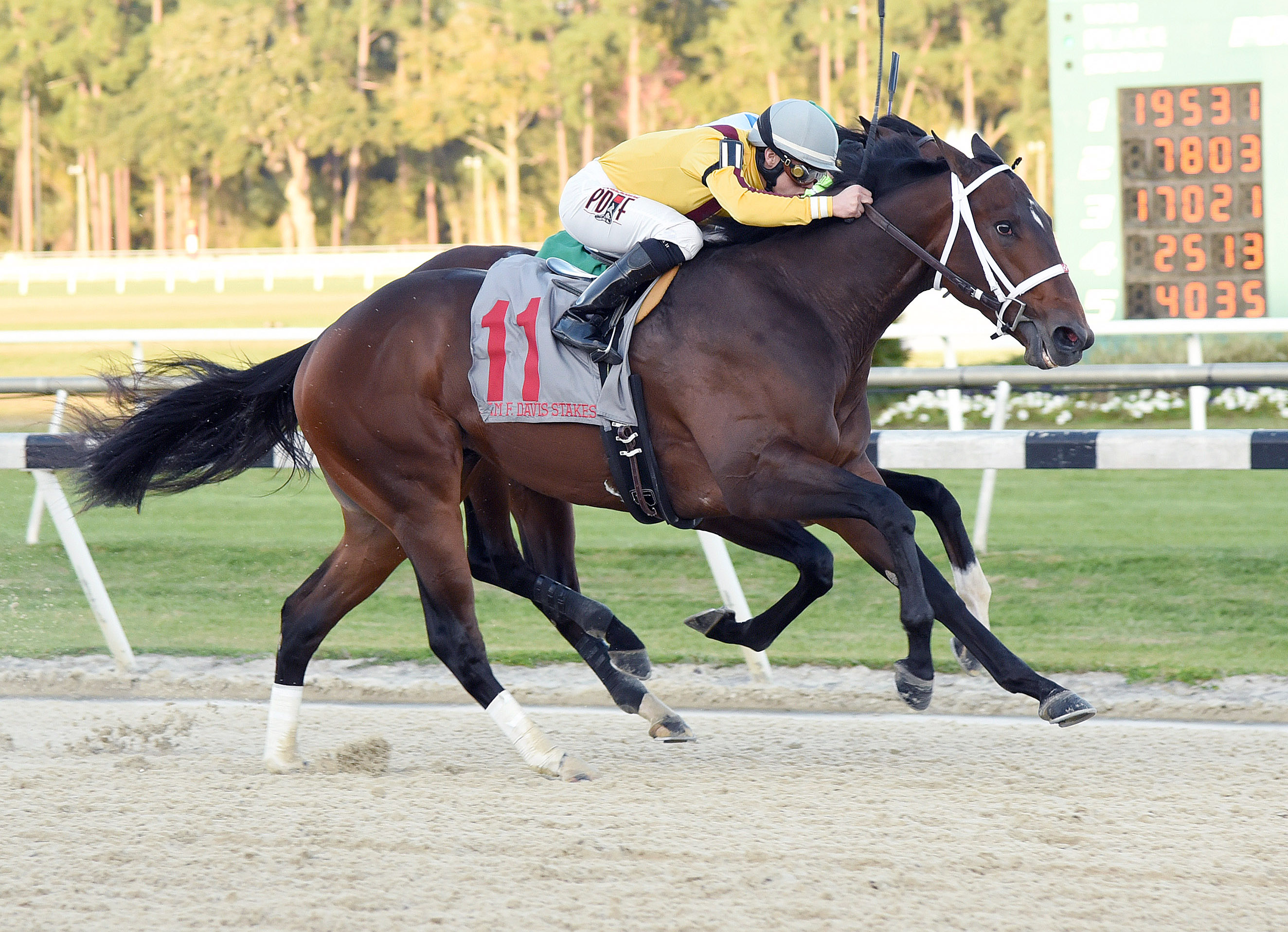 Ocean Knight wins the Sam F. Davis