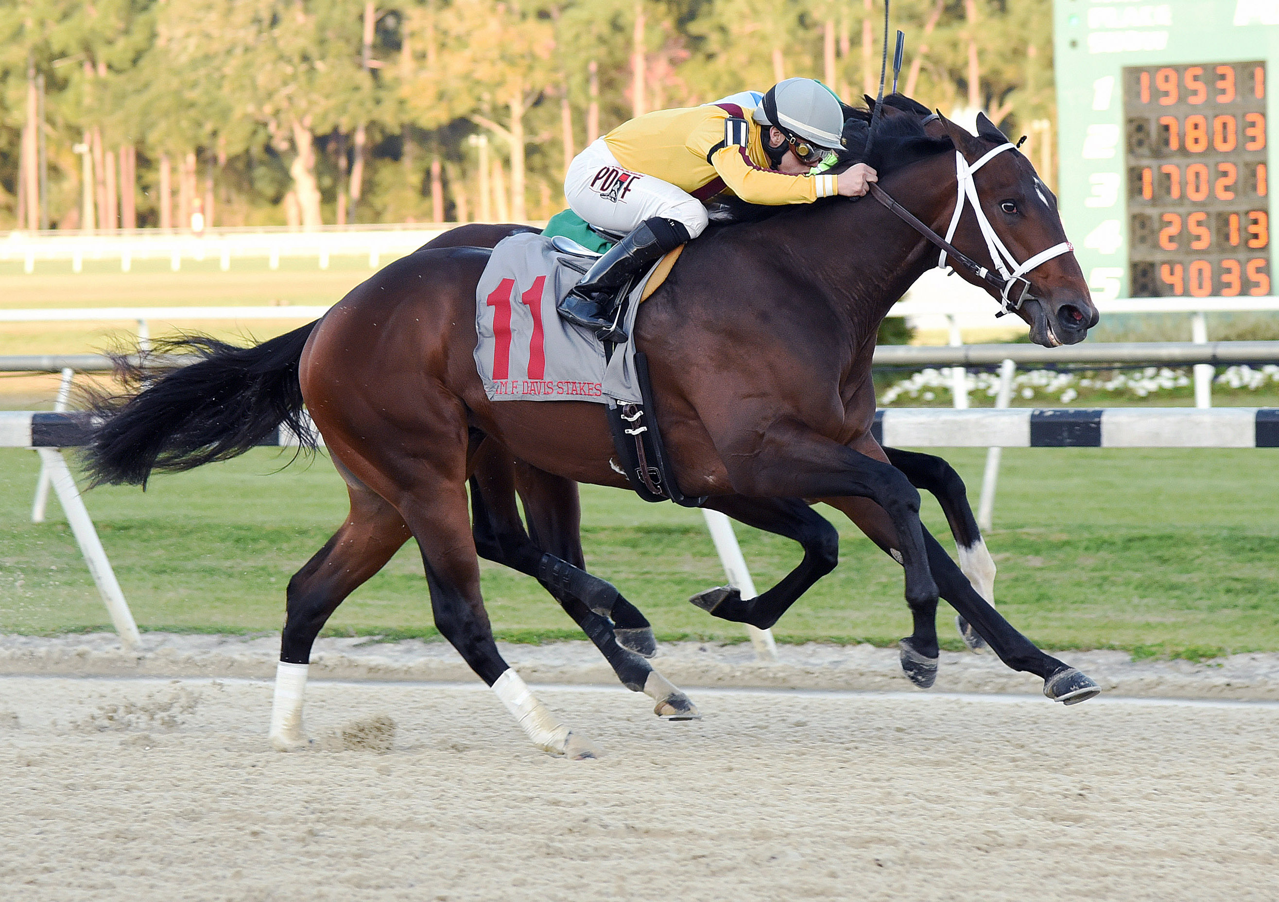 Ocean Knight wins the Sam F. Davis