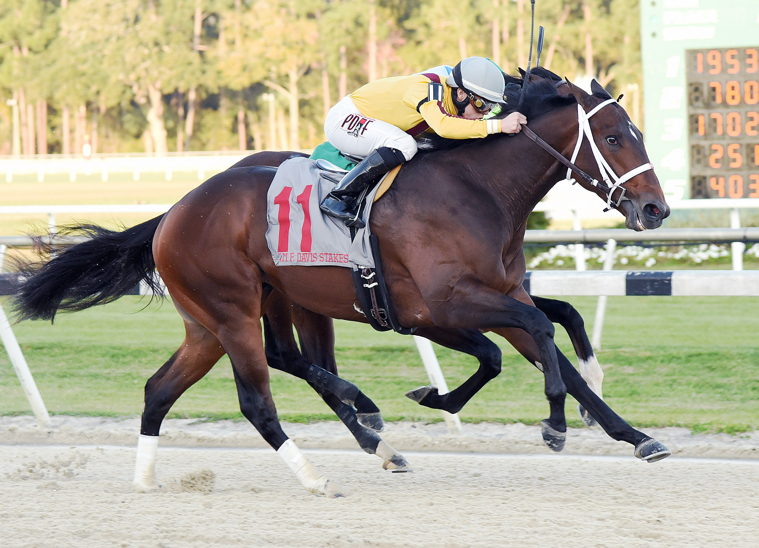 Ocean Knight wins the Sam F. Davis