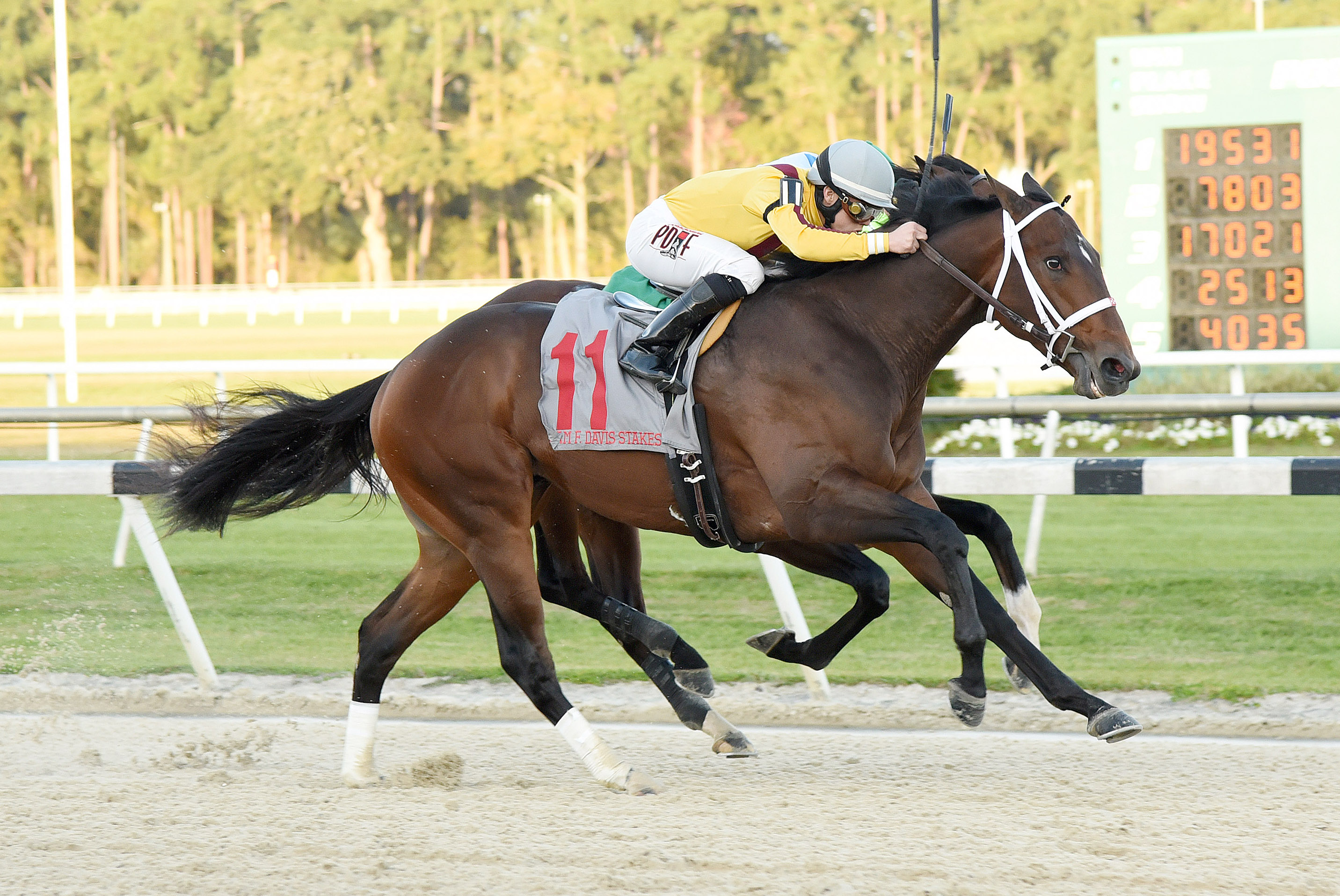Ocean Knight wins the 2015 Sam F. Davis