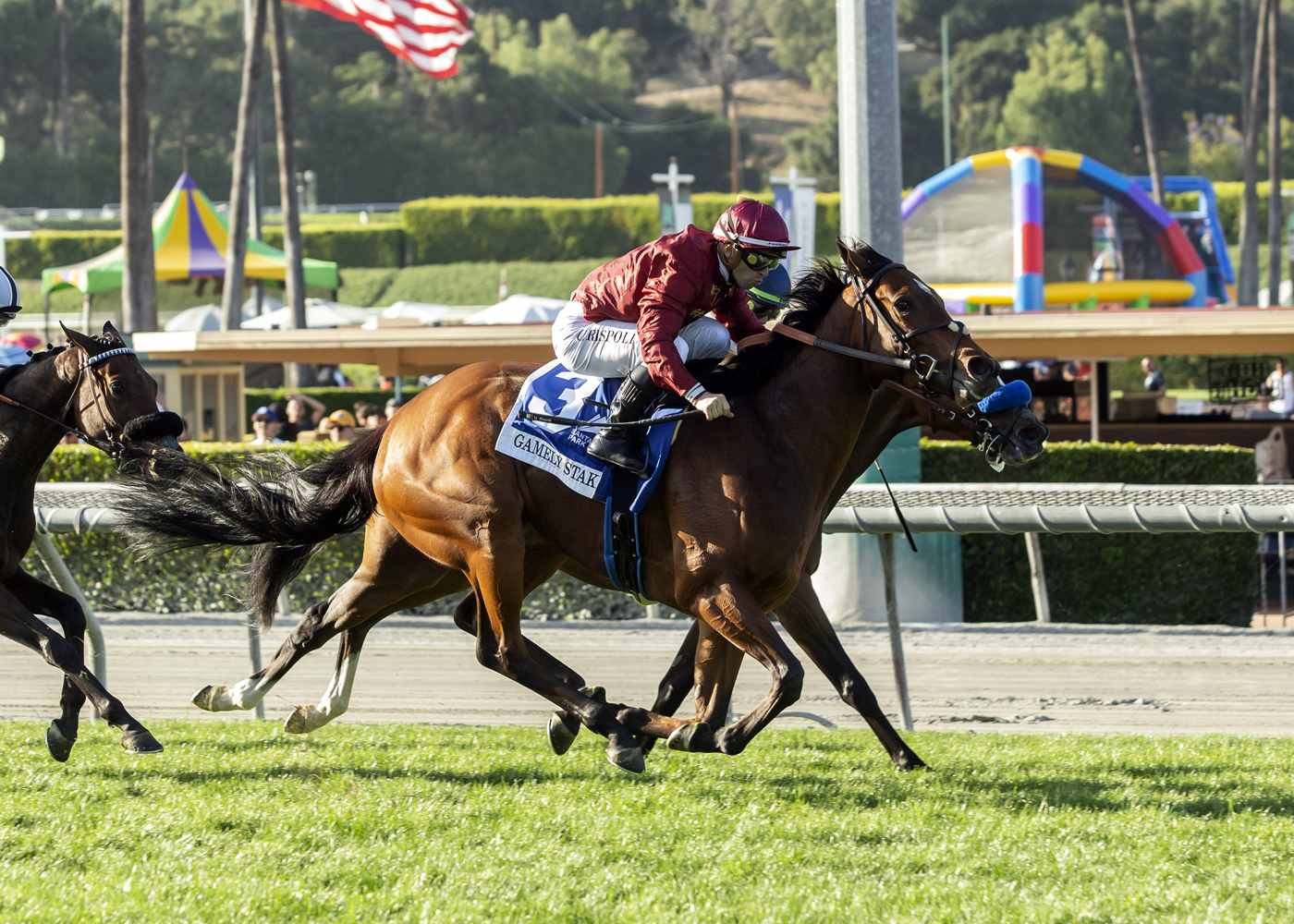 Ocean Road, Gamely Stakes