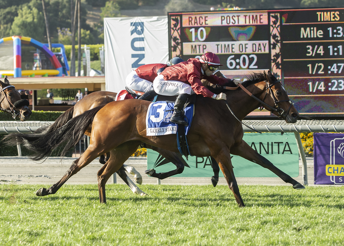 Ocean Road - Gamely S. 2022