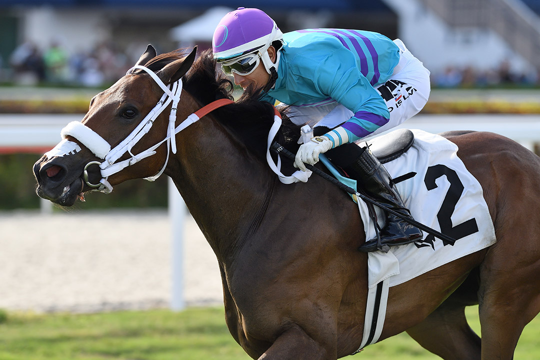 Ocean Safari wins the 2022 Honey Ryder Stakes at Gulfstream Park