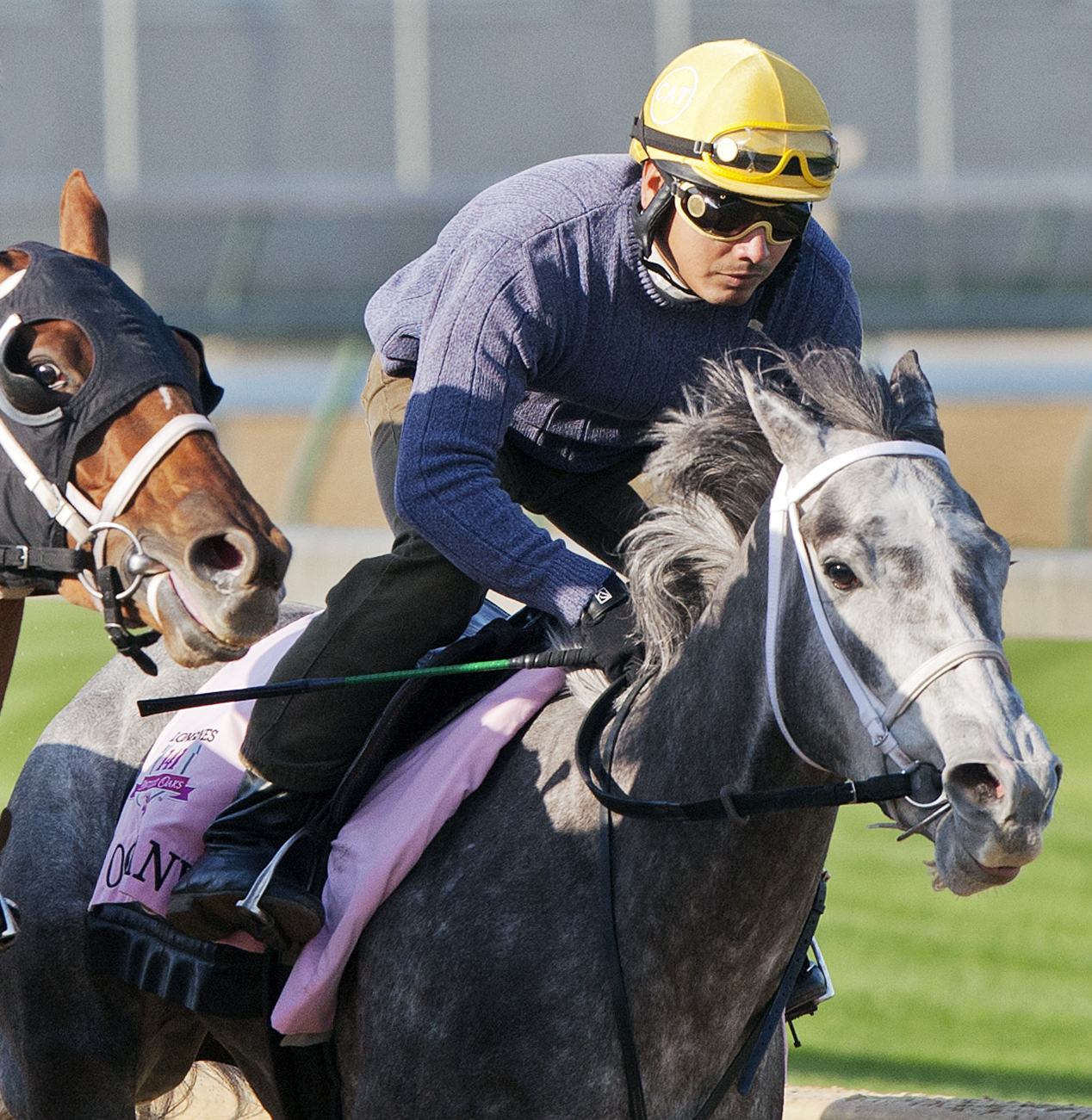 Oceanwave at Churchill Downs in April