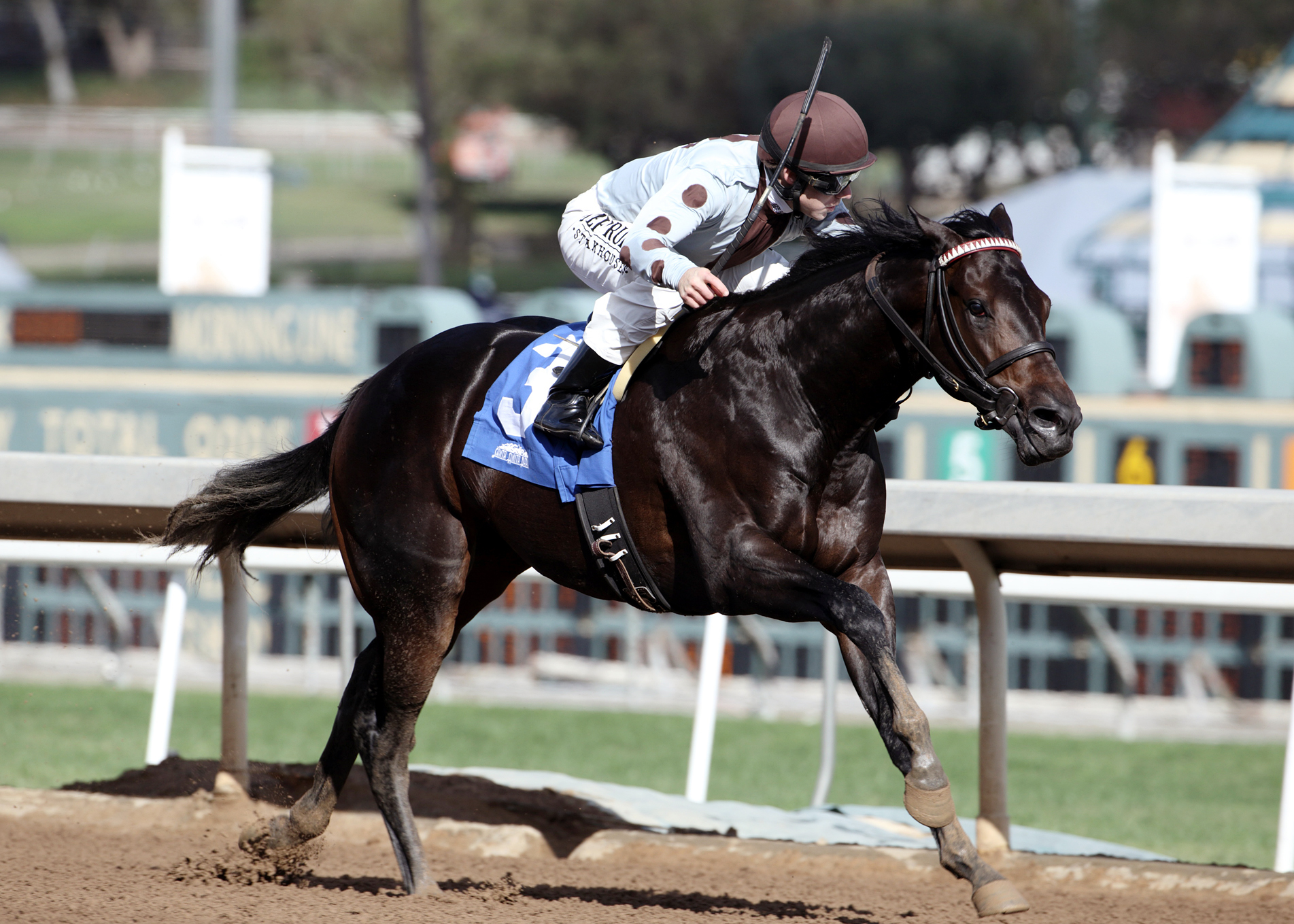 Ocho Ocho Ocho wins the Juvenile Turf Sprint Stakes