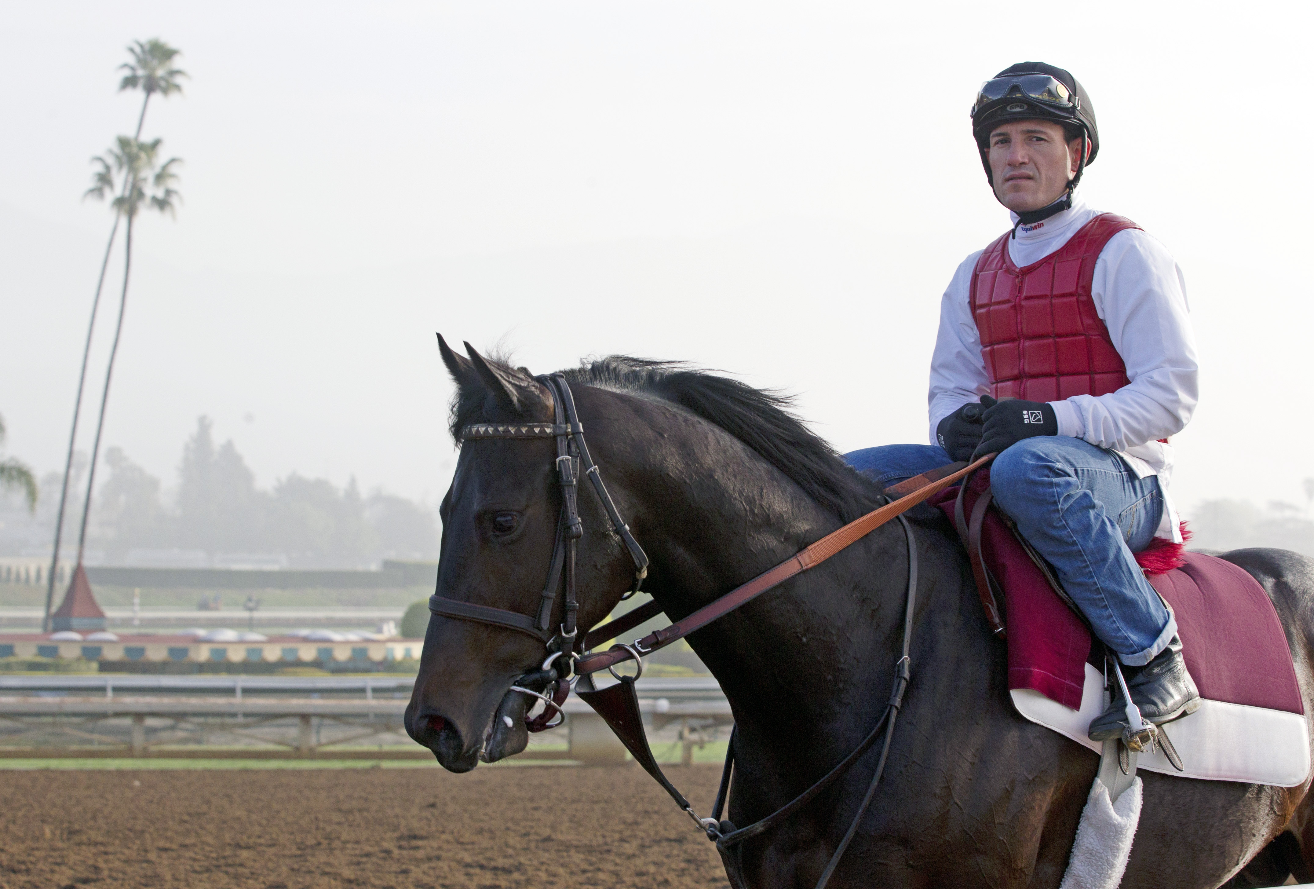 Ocho Ocho Ocho at Santa Anita in February