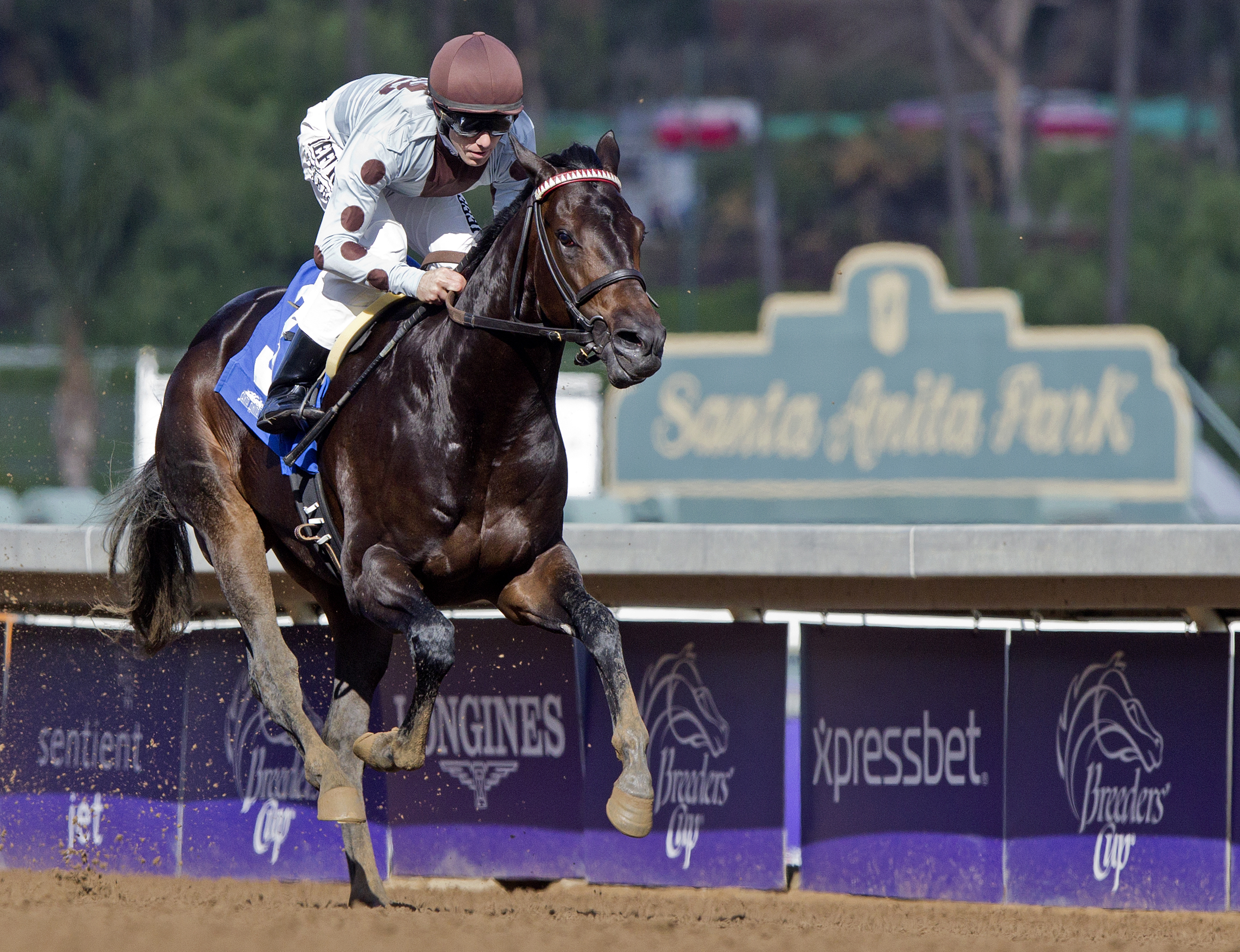 Ocho Ocho Ocho wins the Juvenile Turf Sprint Stakes