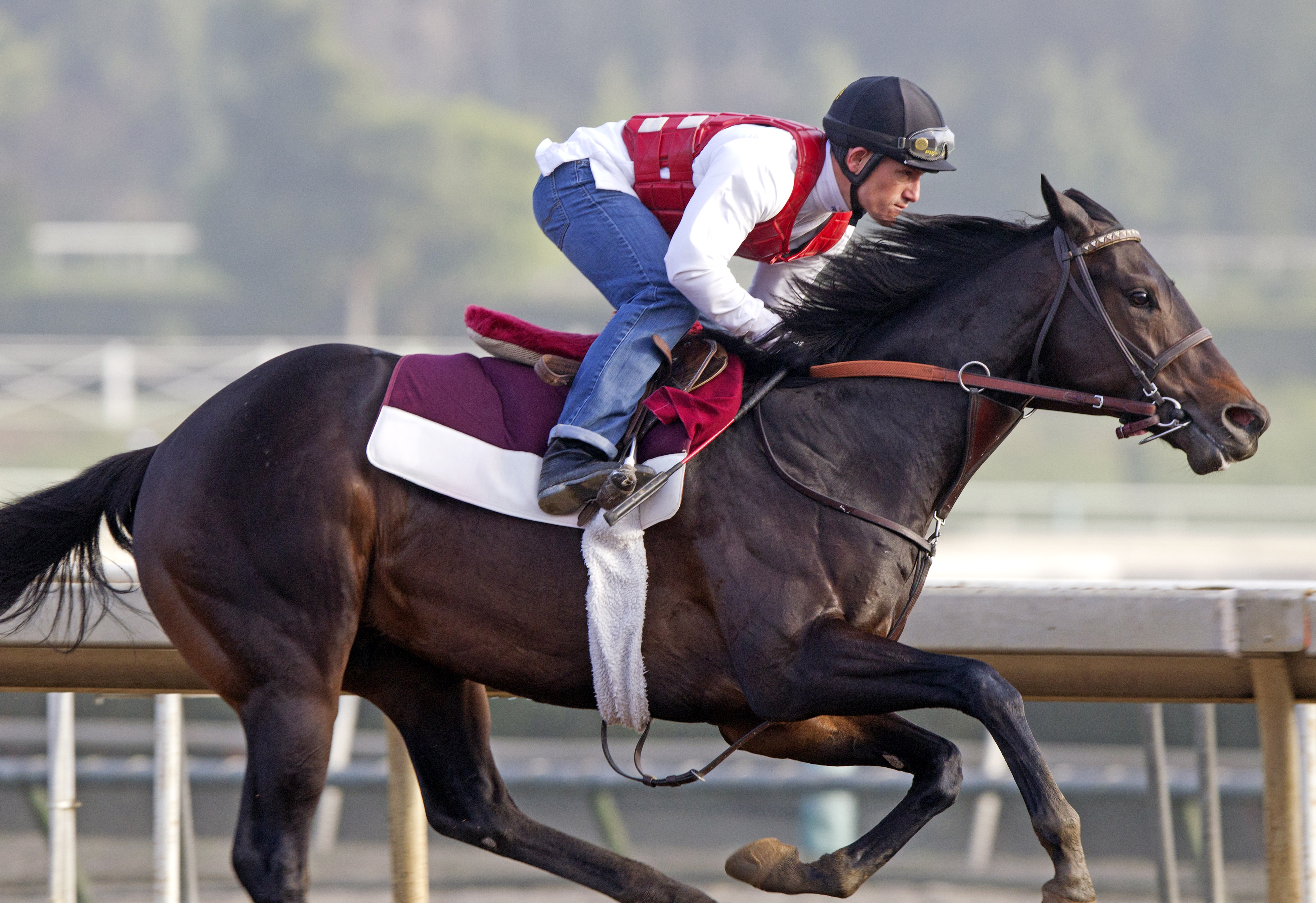 Ocho Ocho Ocho trains at Santa Anita in February