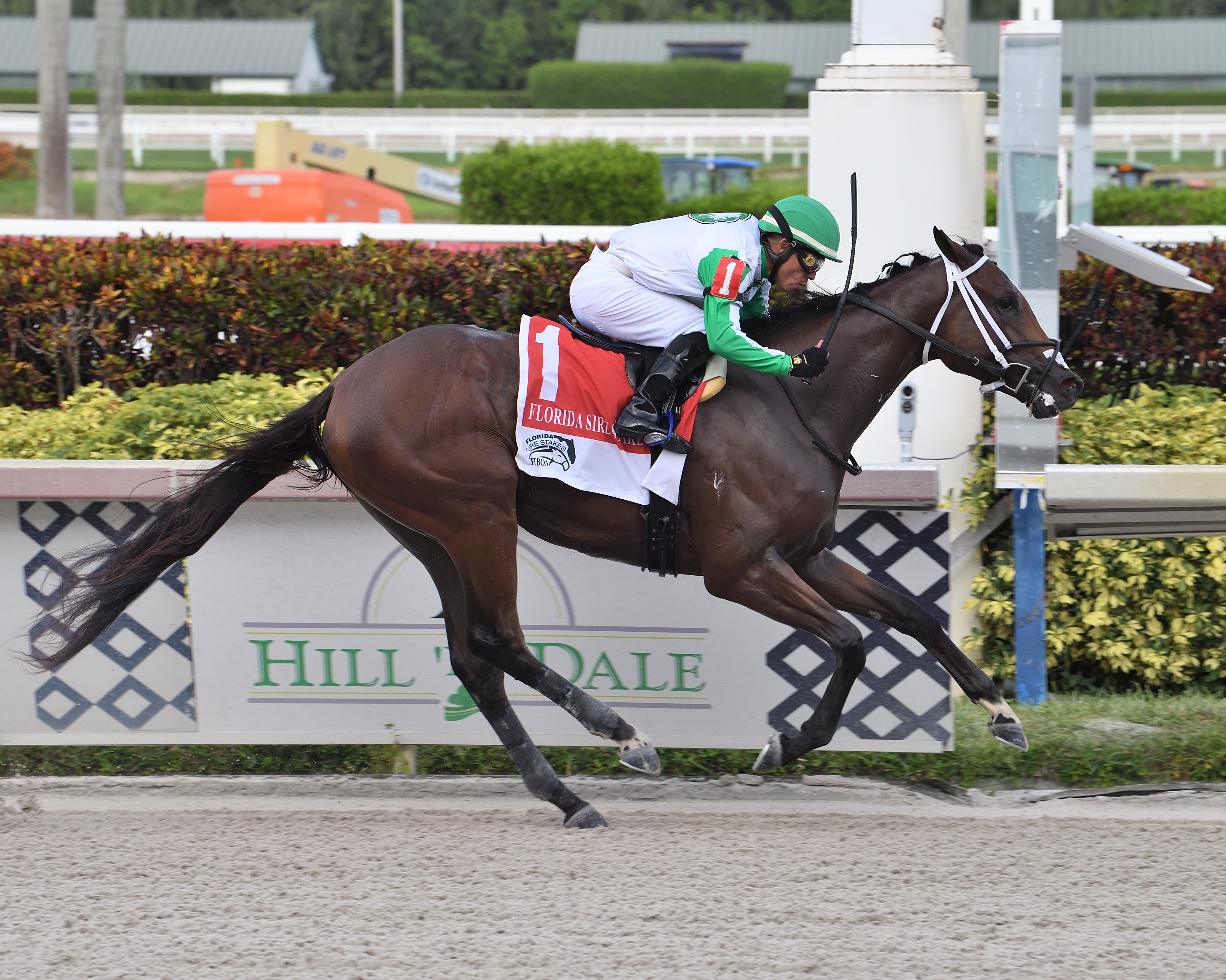Octane wins the Affirmed 8-28-2021