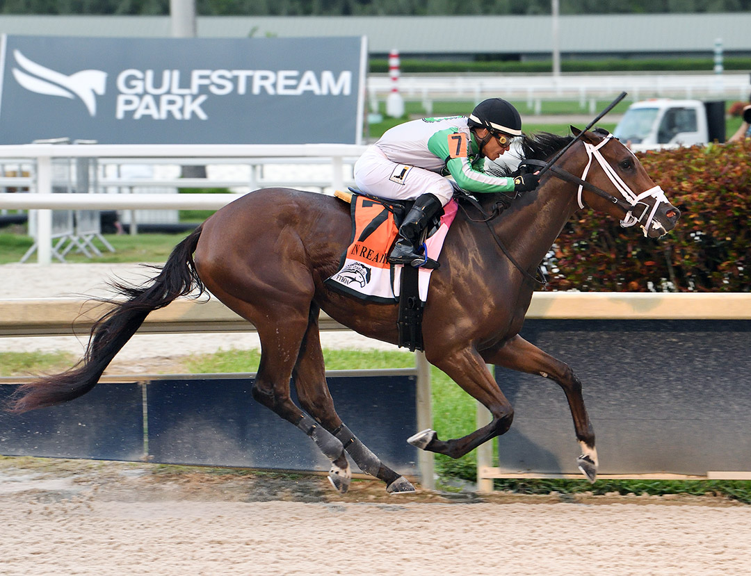 Octane wins the 2021 In Reality Stakes at Gulfstream Park