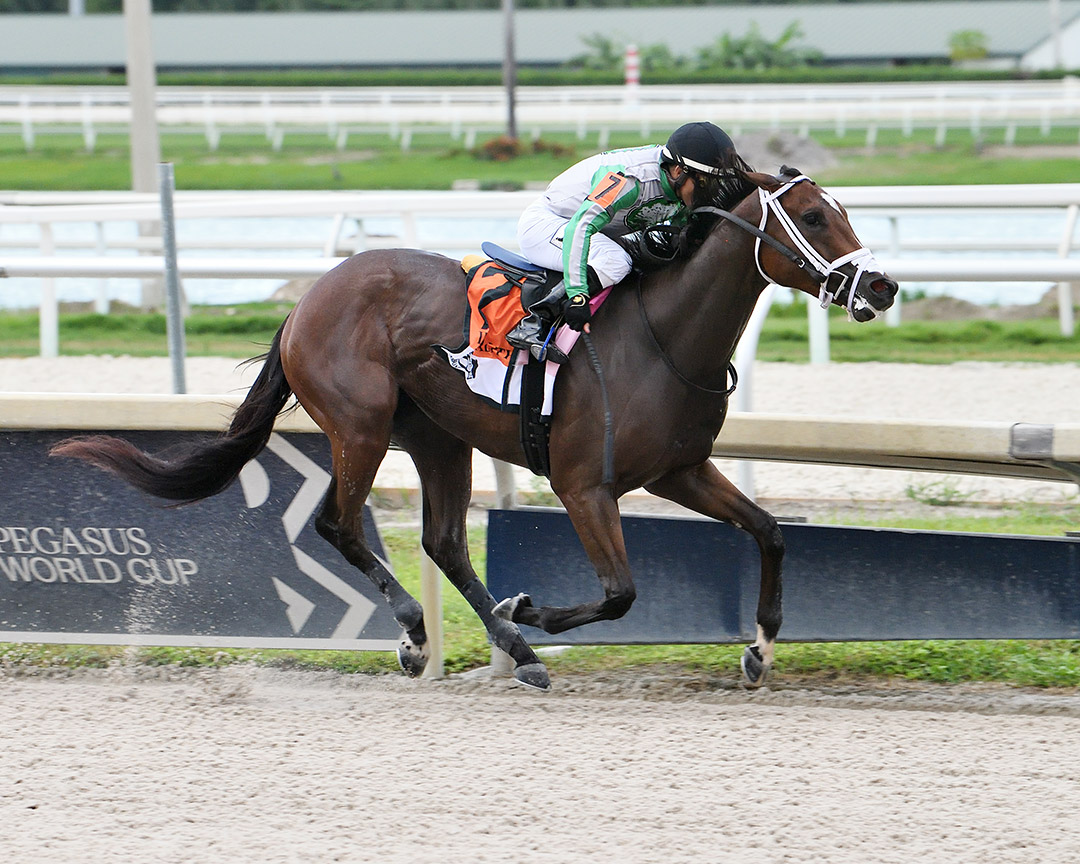 Octane wins the 2021 In Reality Stakes at Gulfstream