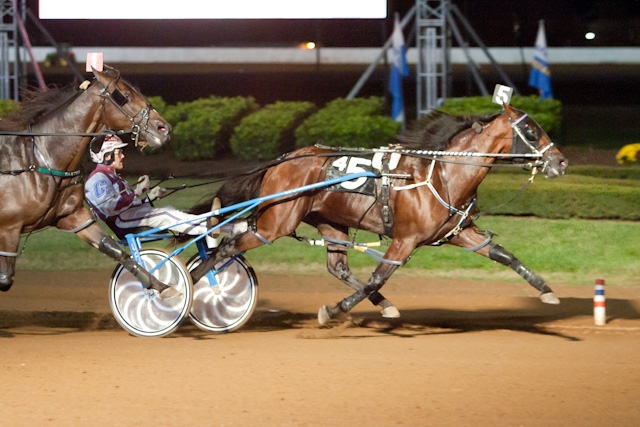 Odds On Equuleus