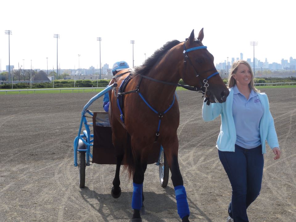 odds on equuleus