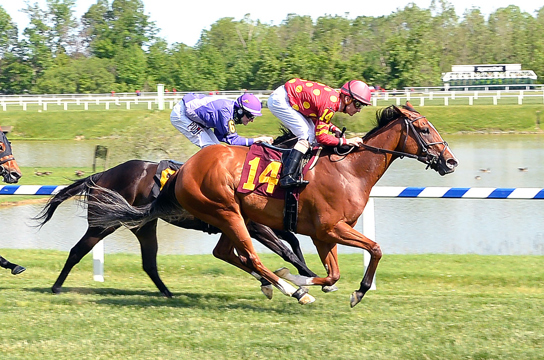 Ode to Joy beats Ellyb in a May 30 allowance at Laurel Park