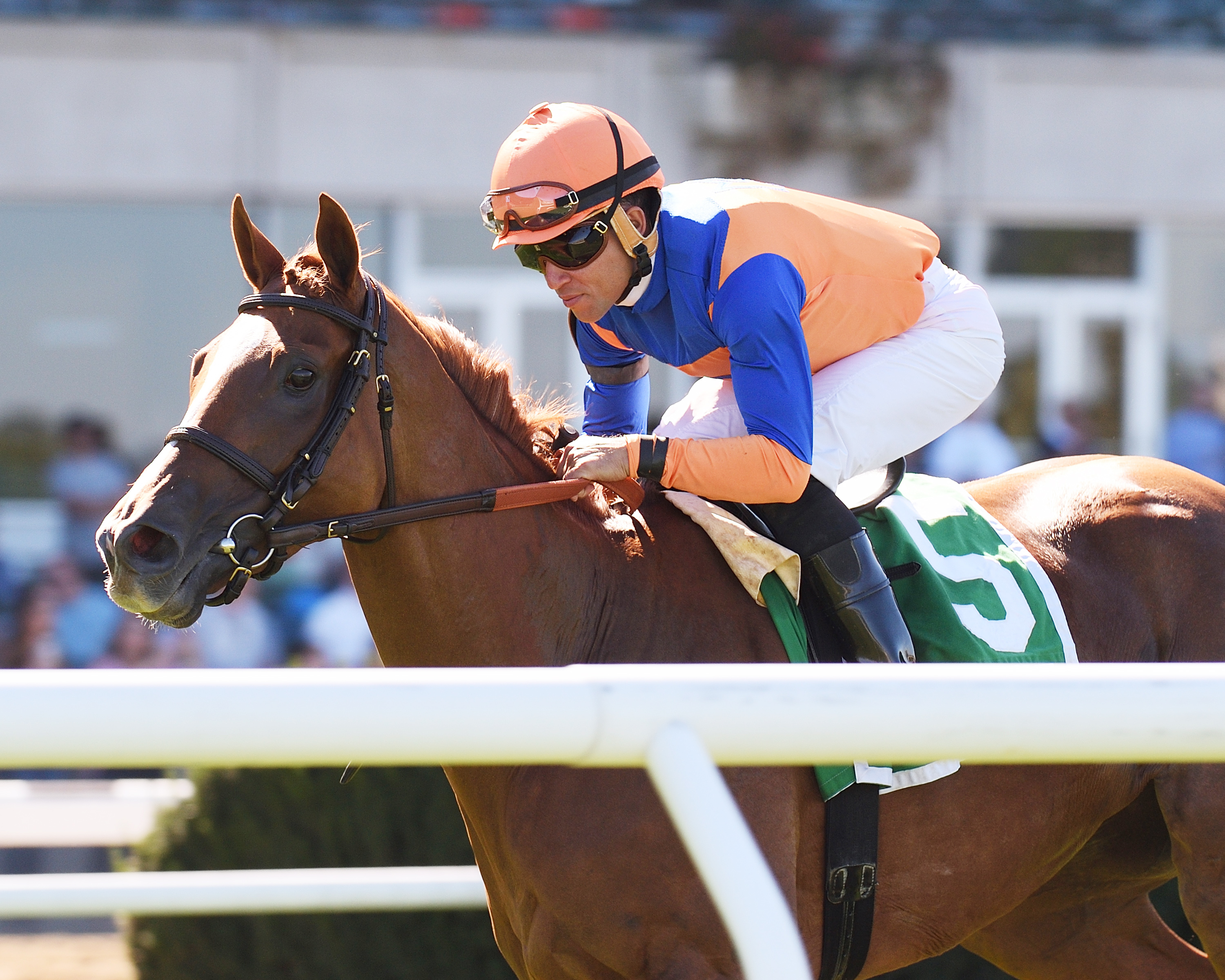 Off Limits wins the 2017 Noble Damsel