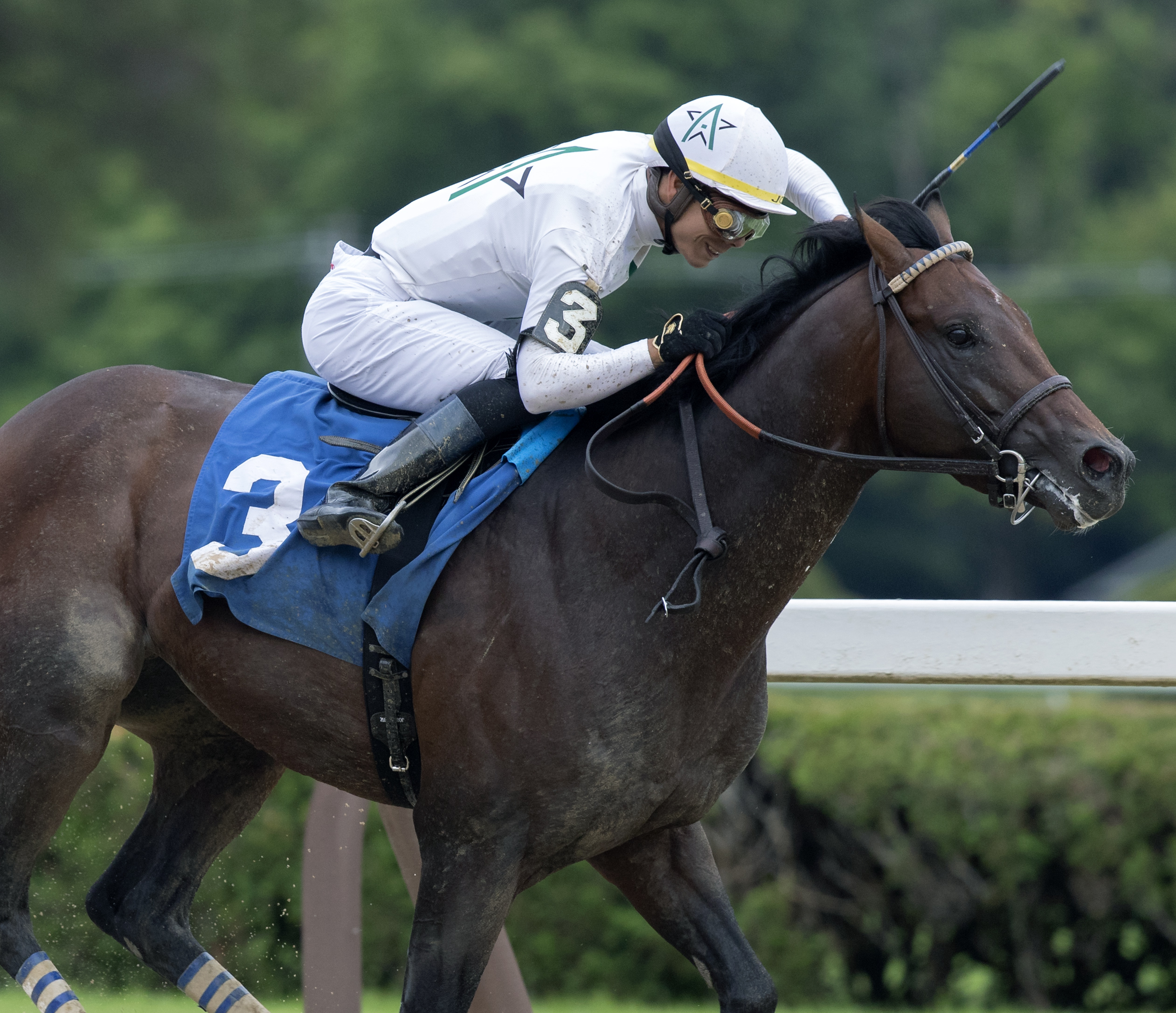 Off the Record wins a maiden race at Saratoga on 7.17.19
