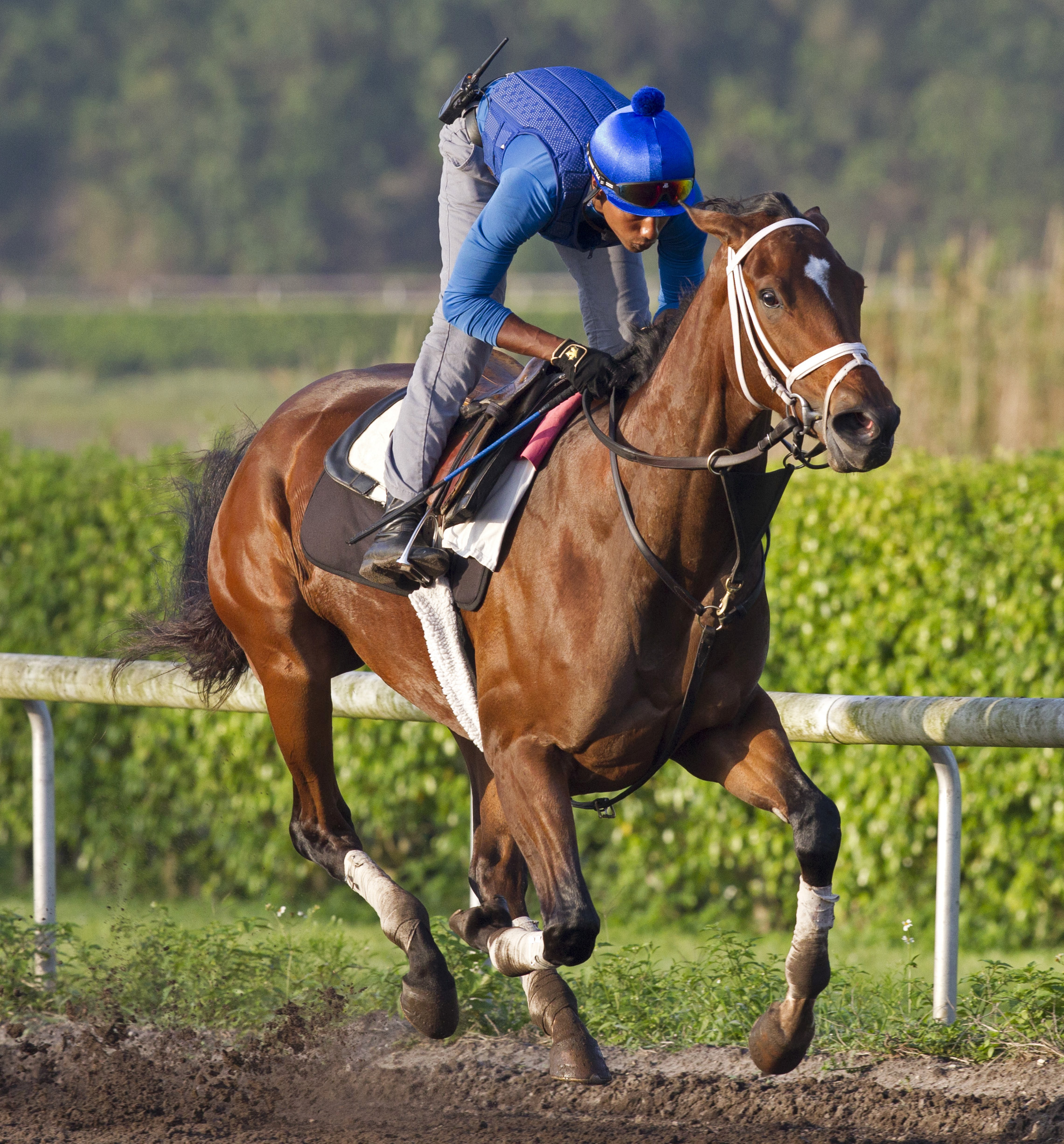 Off the Tracks at Gulfstream Park on March 26