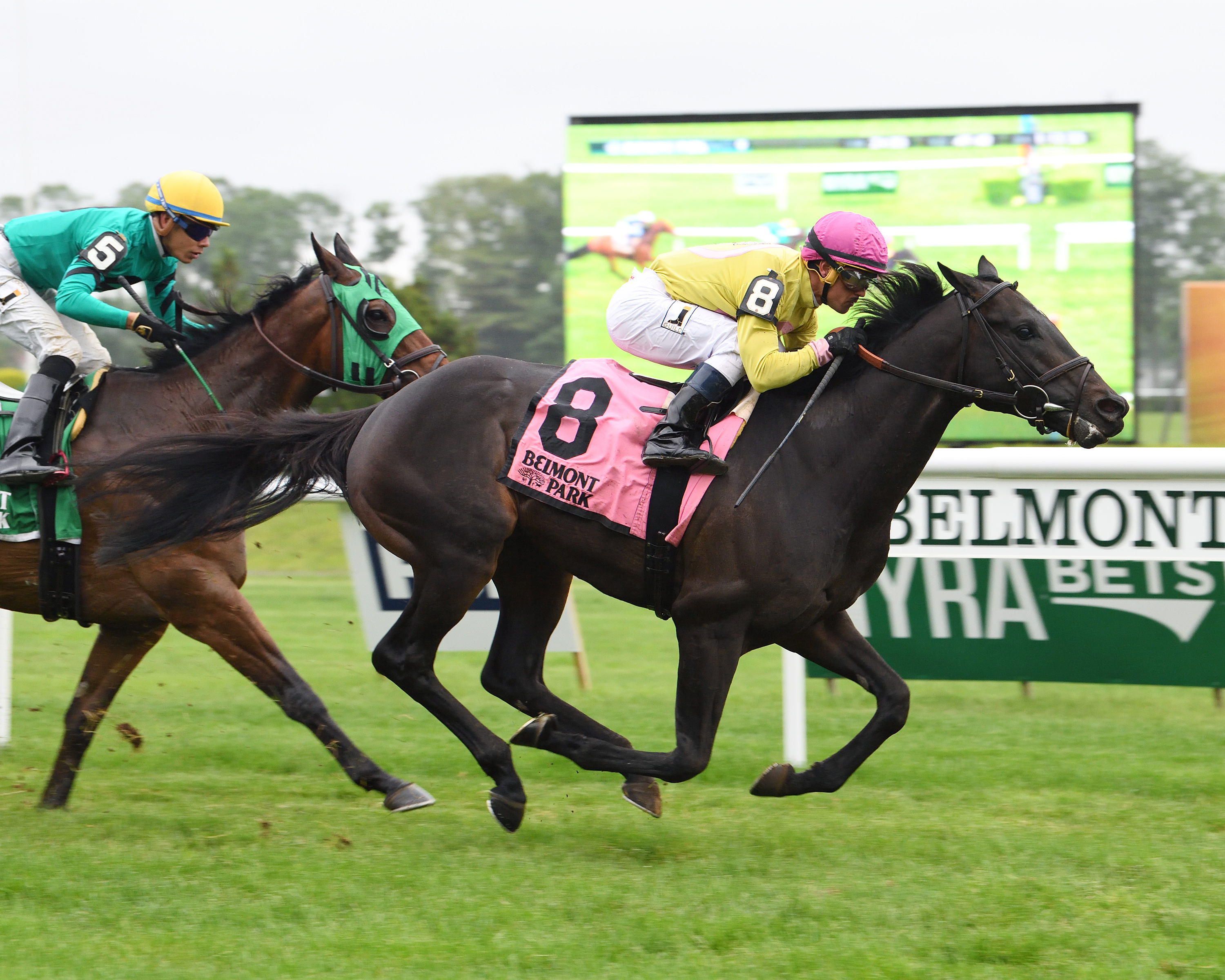 Offering Plan wins the 2017 Kingston Stakes