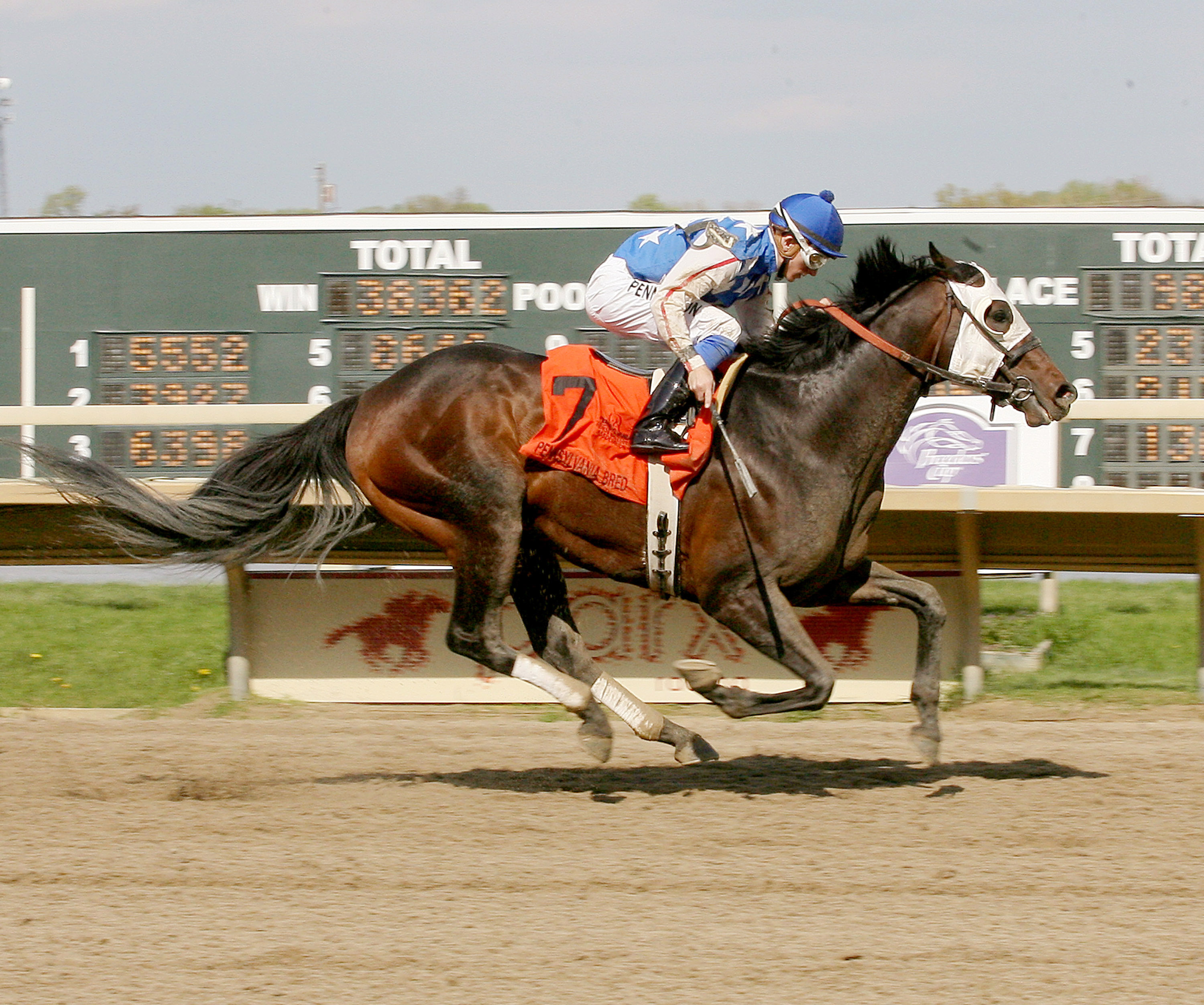 Officer Alex wins the Lyman Handicap