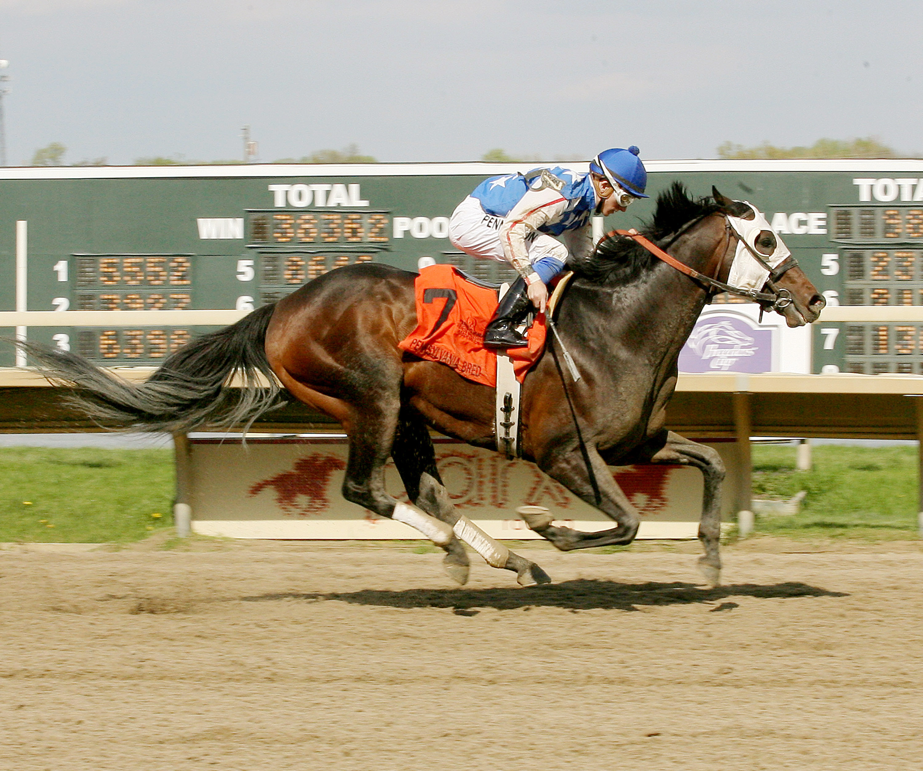 Officer Alex wins the Lyman Handicap