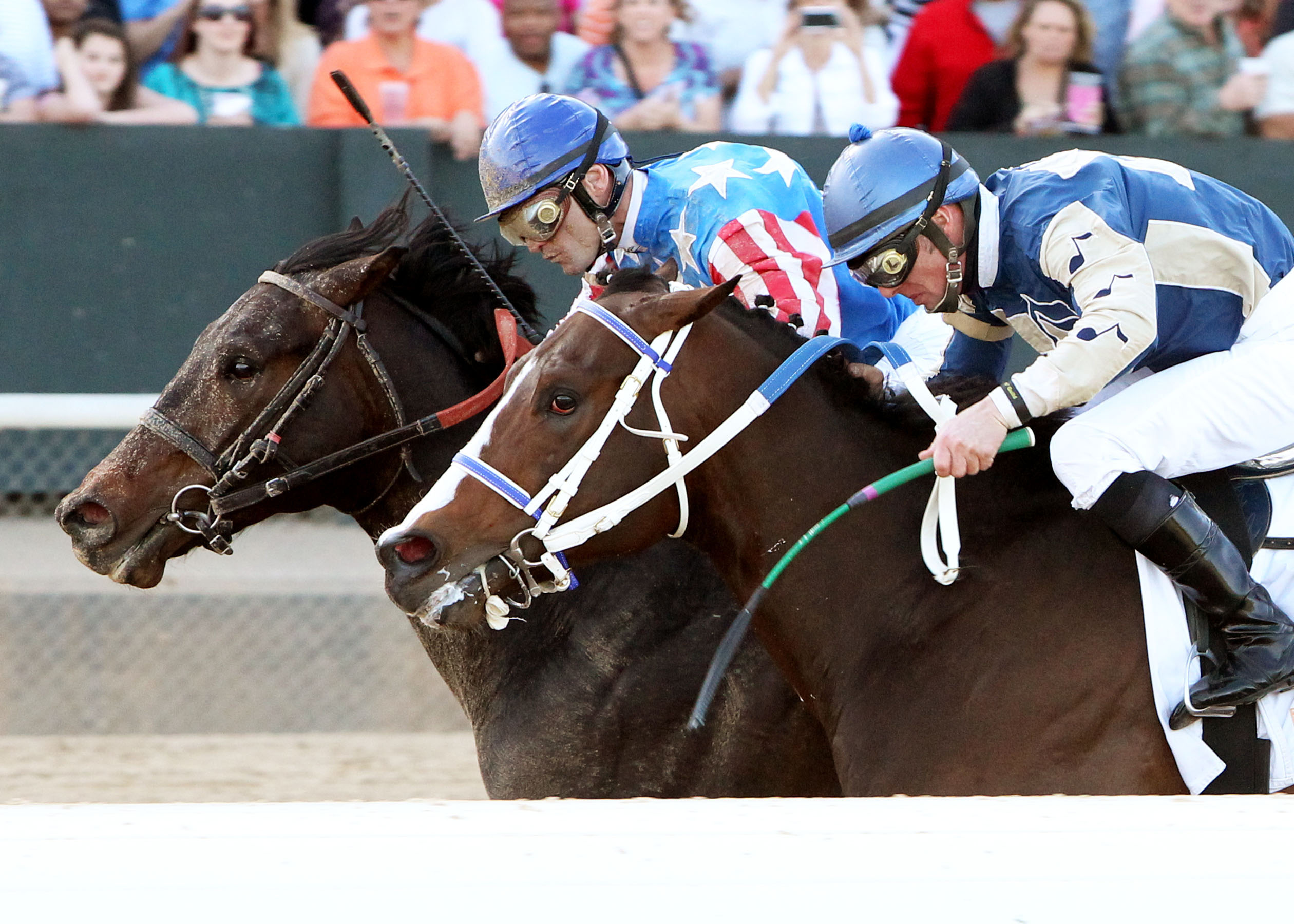 Officer Alex, Bobcat Jim, Bachelor Stakes