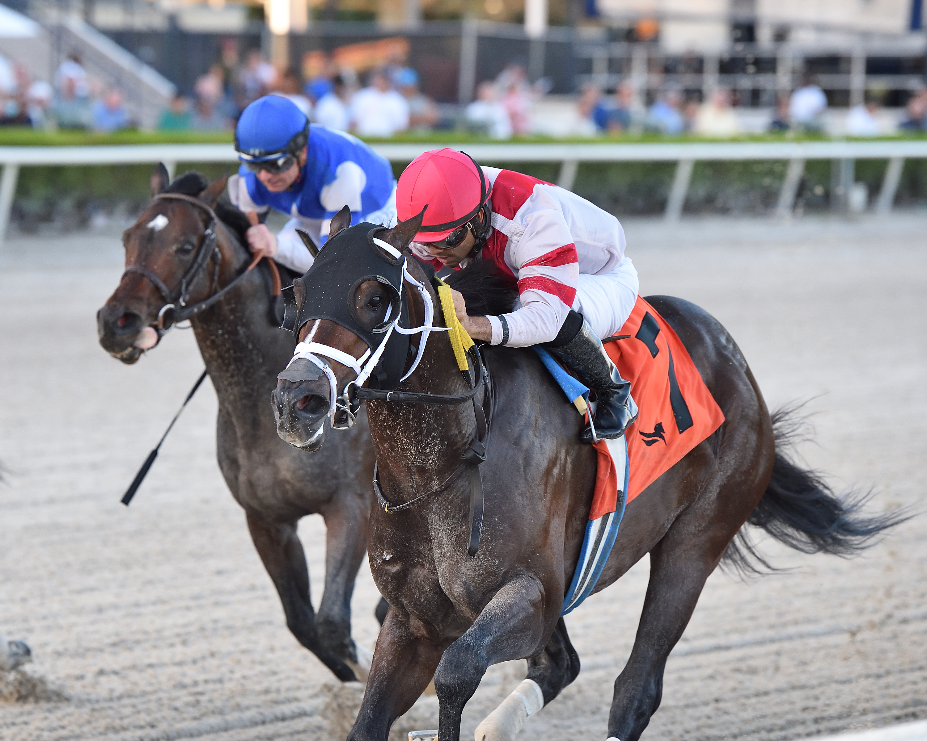 Officiating (2) wins Mr. Prospector 12-11-2021