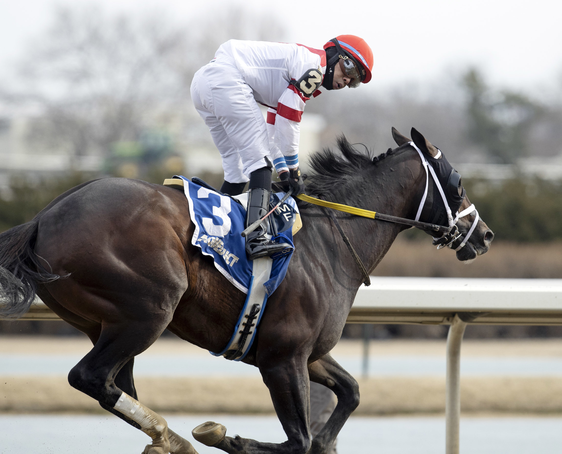 Officiating wins the Tom Fool at Aqueduct on March 5 2022