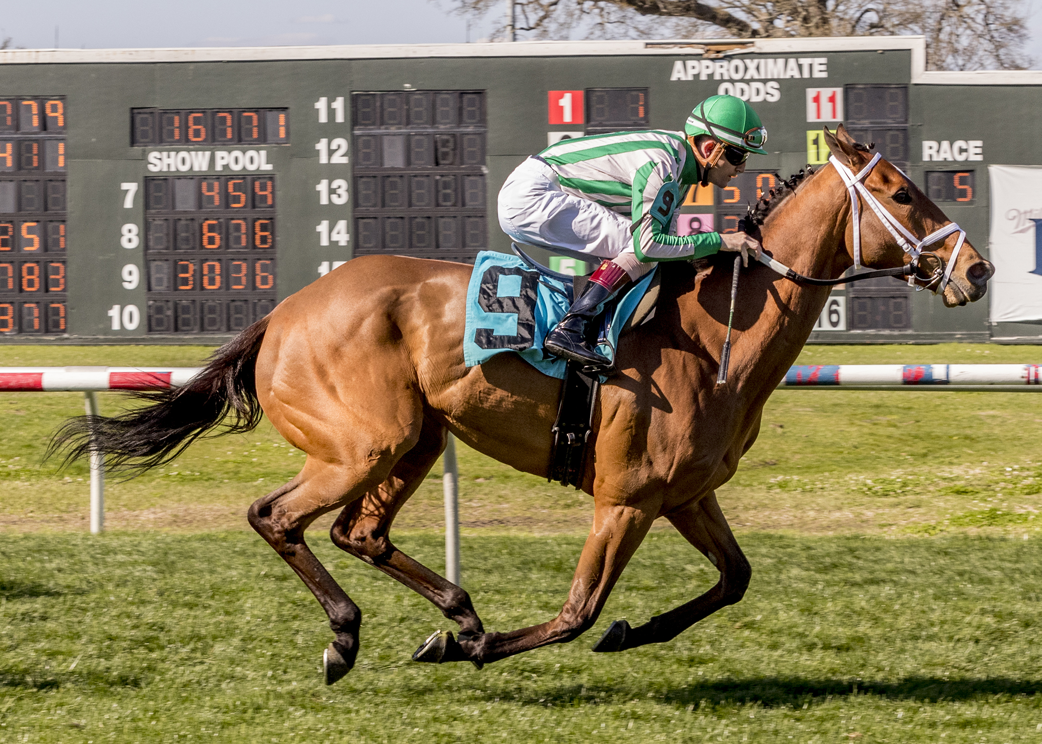 Offspring wins the Red Camelia.3-6-2021