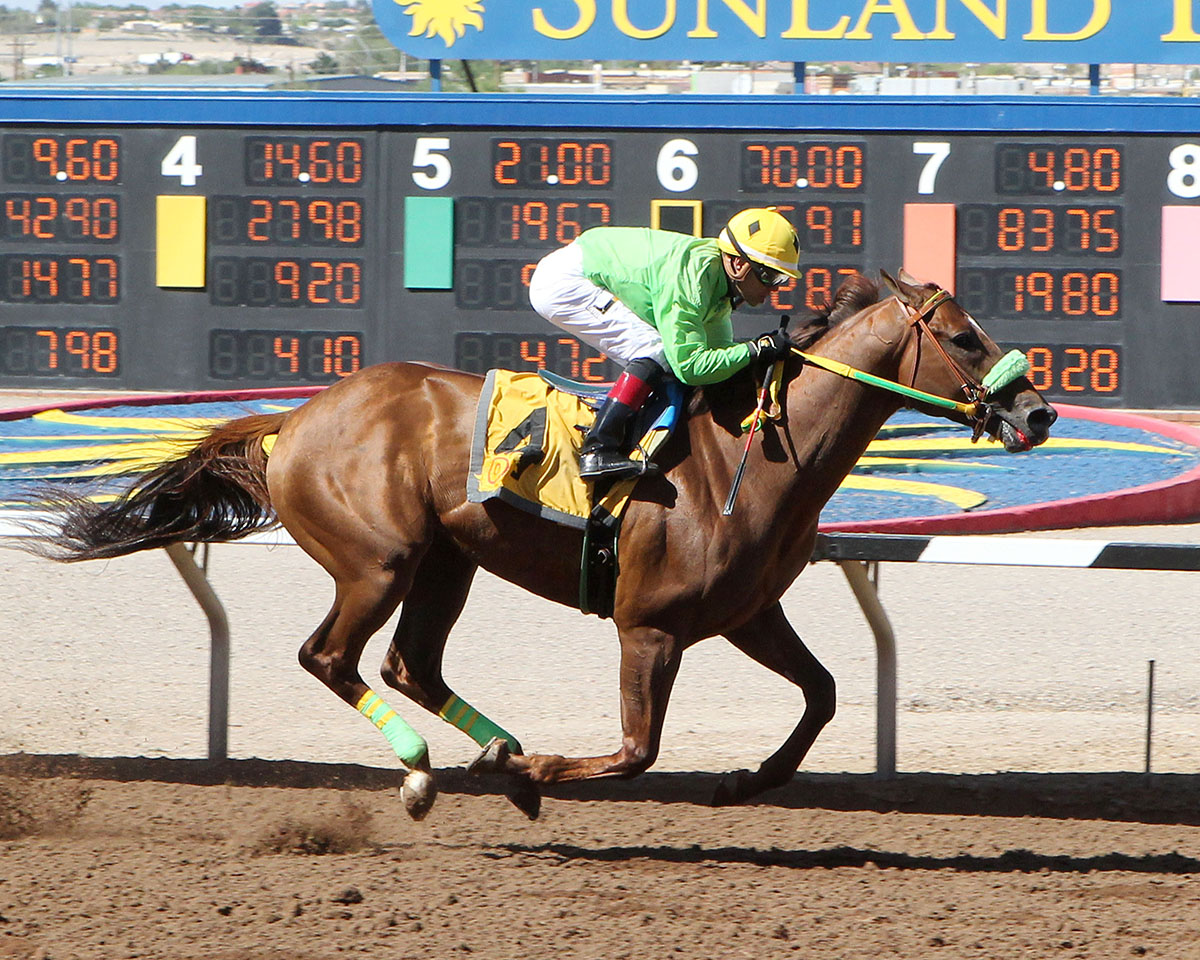 Oh So Regal wins the 2018 Sunland Park Handicap