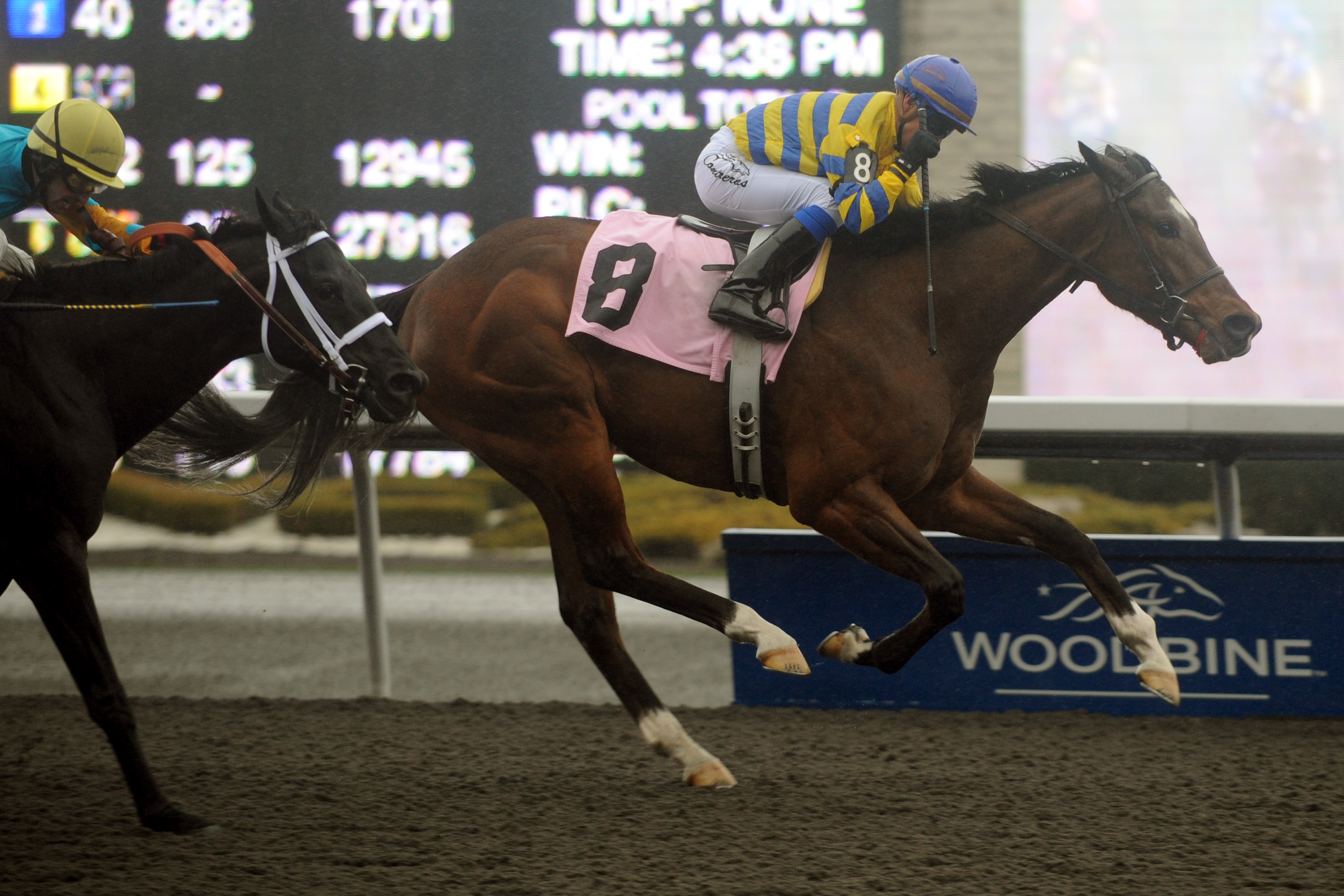 Oh Canada, Woodstock Stakes