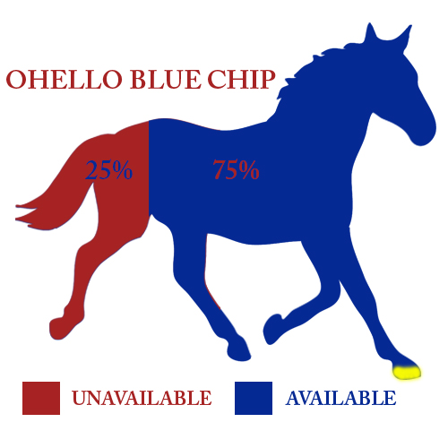 Ohello Blue Chip chart