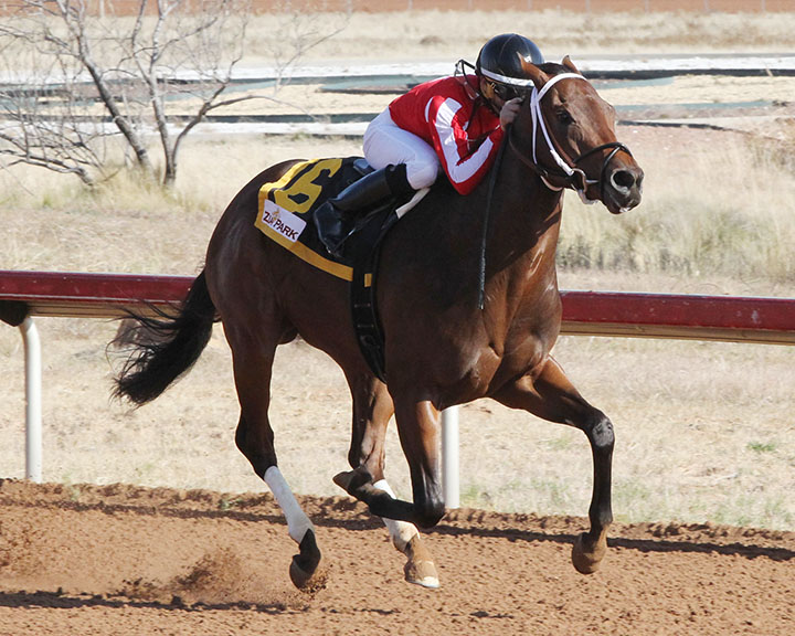 Oil Money wins the 2018 Zia Park Juvenile Stakes at Zia Park