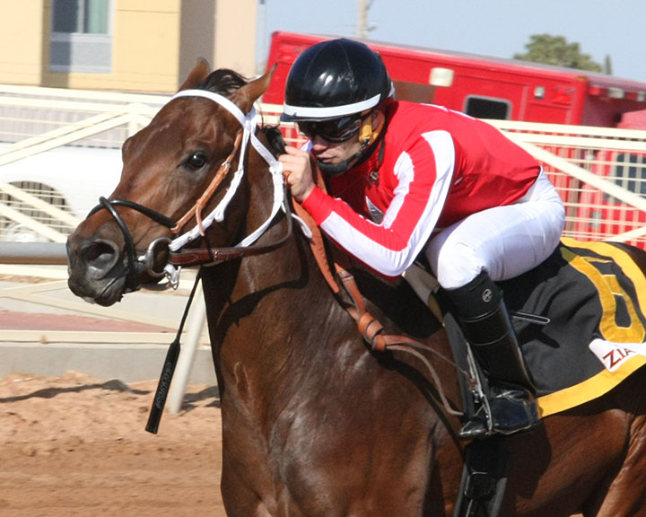 Oil Money wins the 2018 Zia Park Juvenile Stakes
