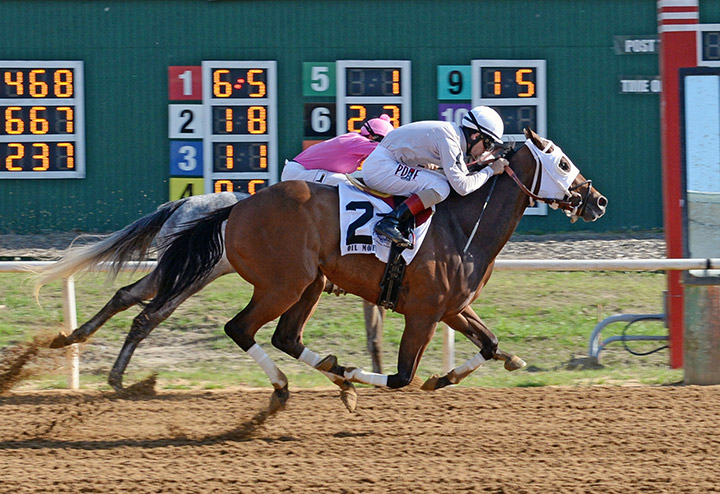 Oil Money wins the 2020 Highland Ice Stakes at Will Rogers Downs