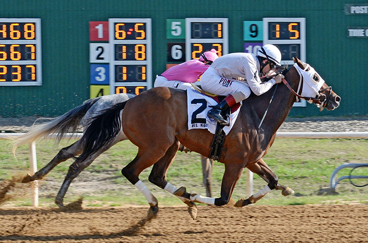 Oil Money beats Imma Bling in the 2020 Highland Ice Stakes at Will Rogers