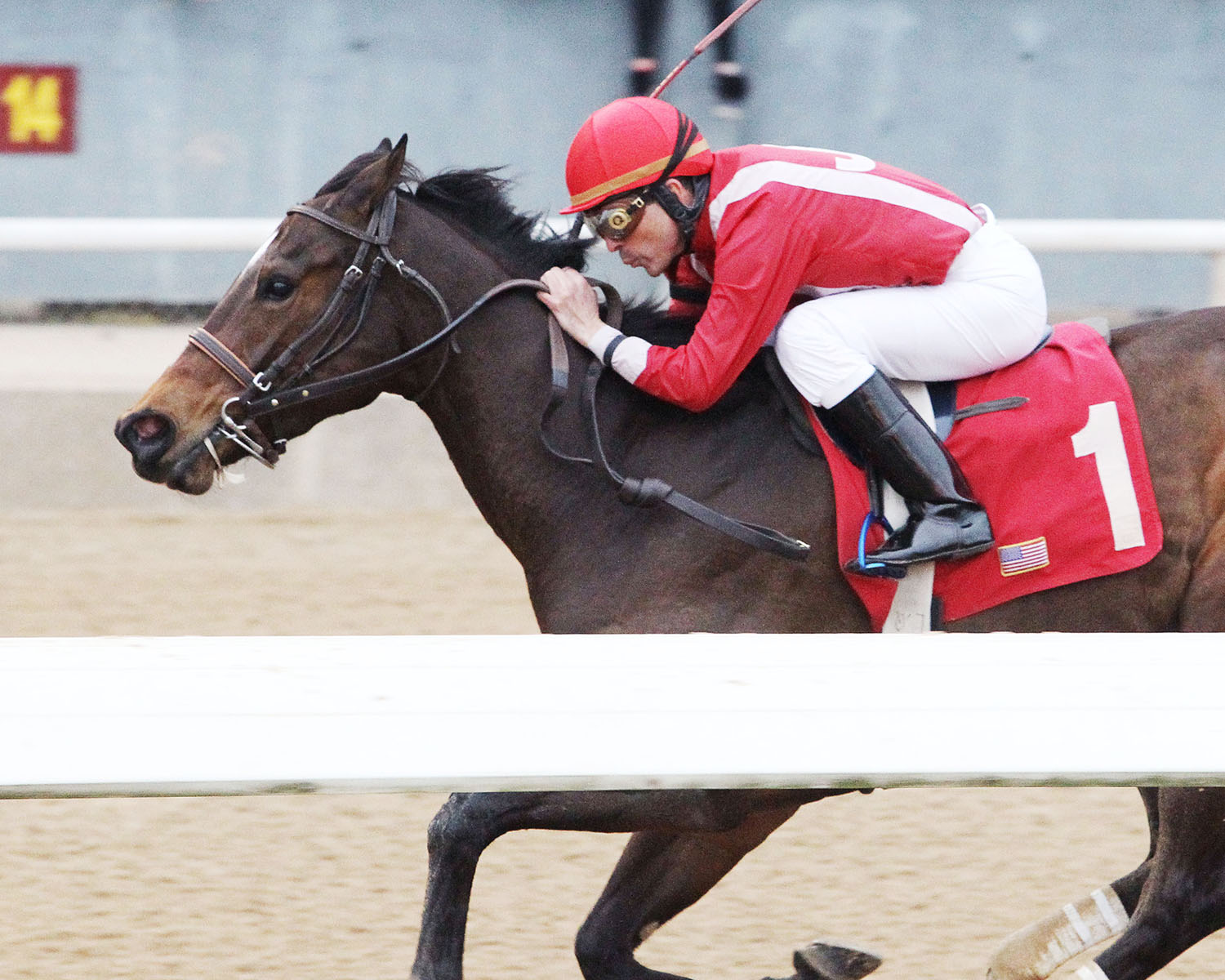 Okie Diva wins a Feb. 16 allowance race