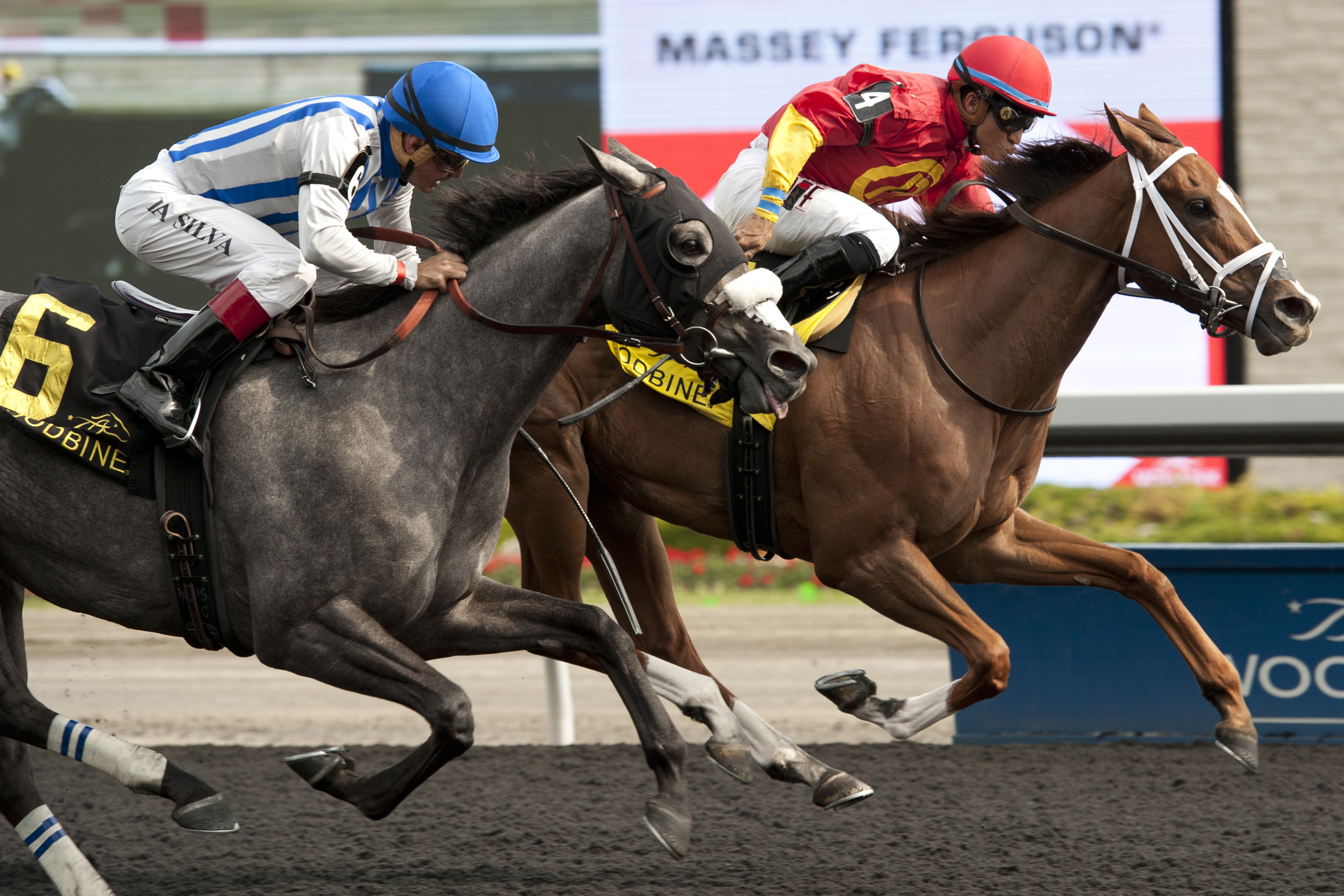 Ol' Fashion Gal wins 2015 Selene