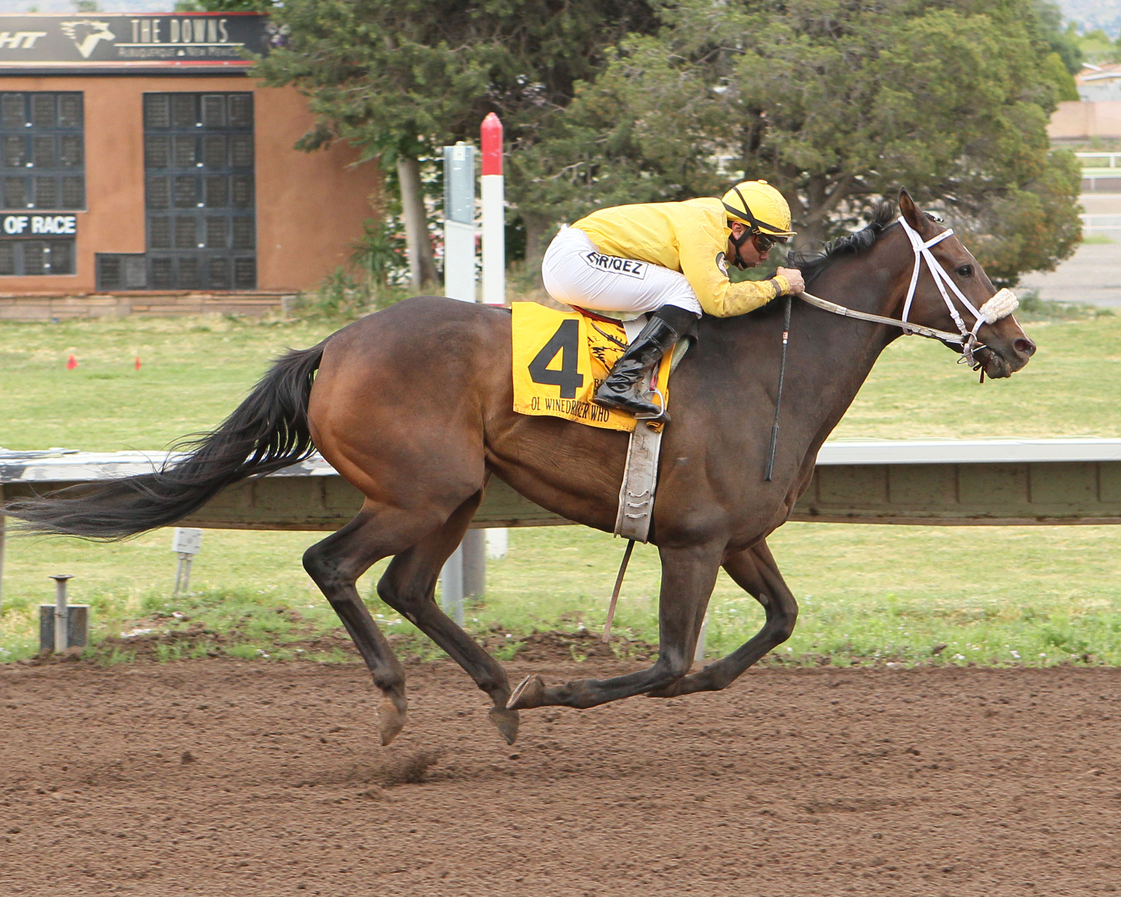 Ol Winedrinker Who wins 2015 Downs at Albuquerque Handicap