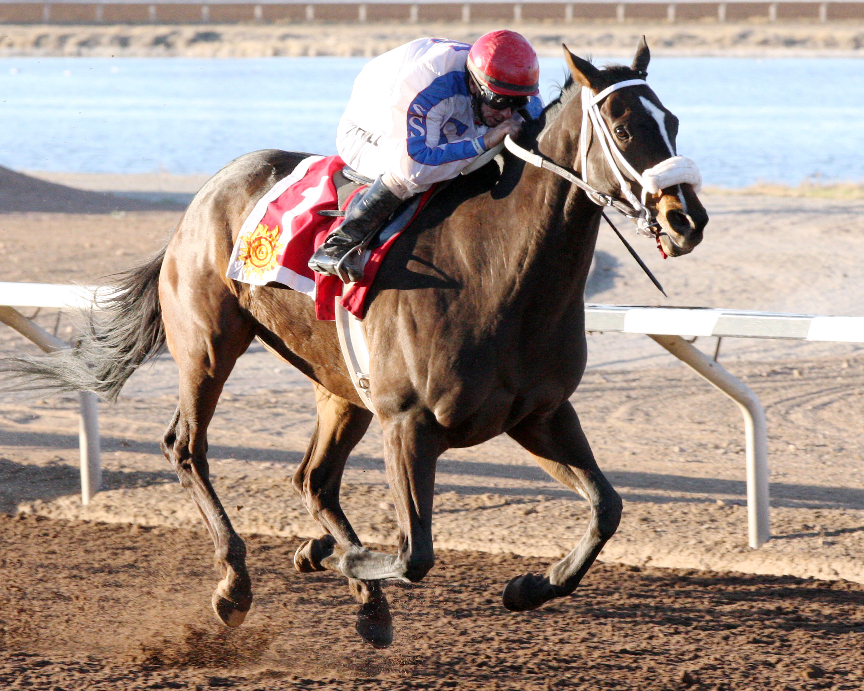 Ol Winedrinker Who wins the Curribot Handicap