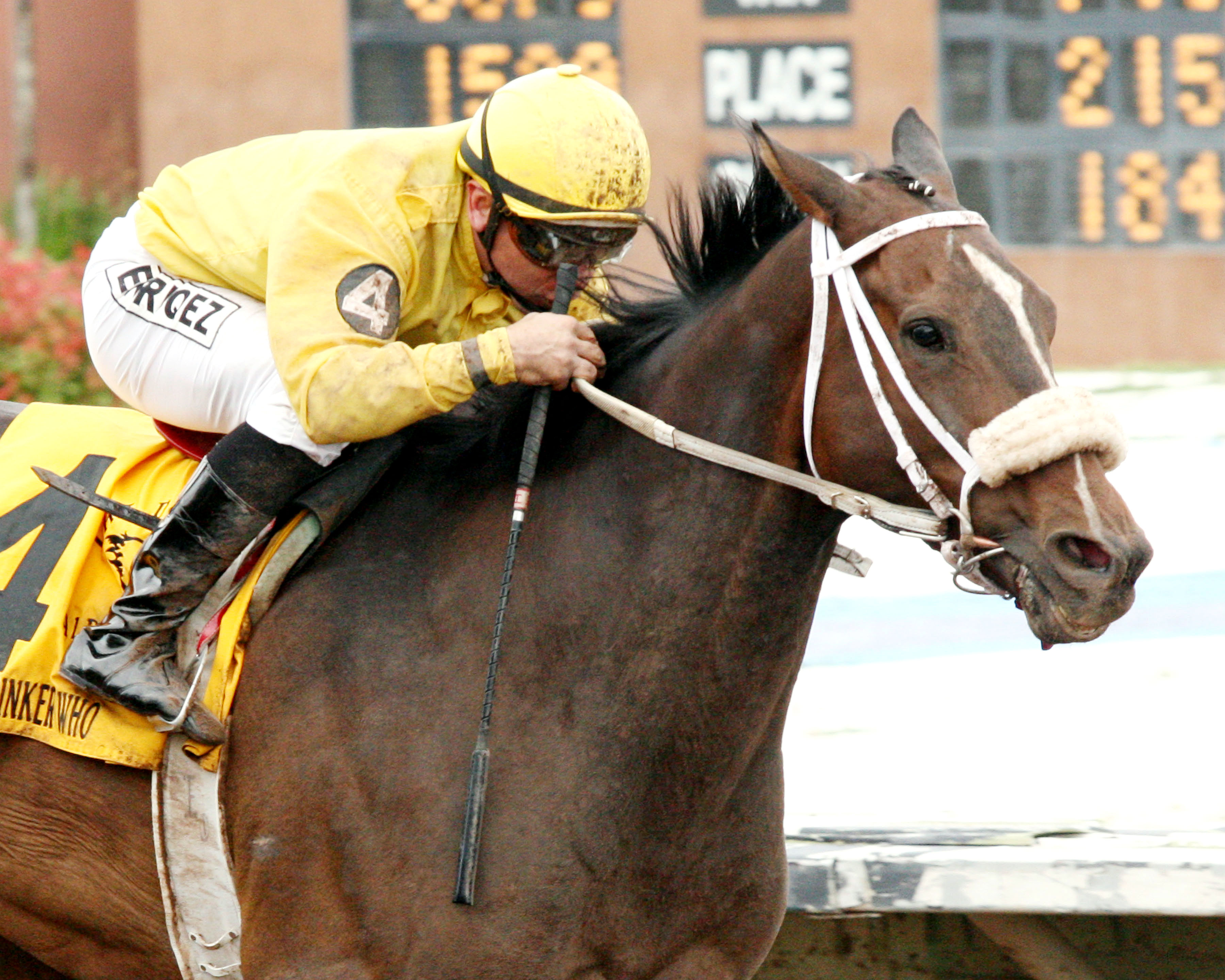 Ol Winedrinker Who wins the Downs at 2015 Albuquerque Handicap