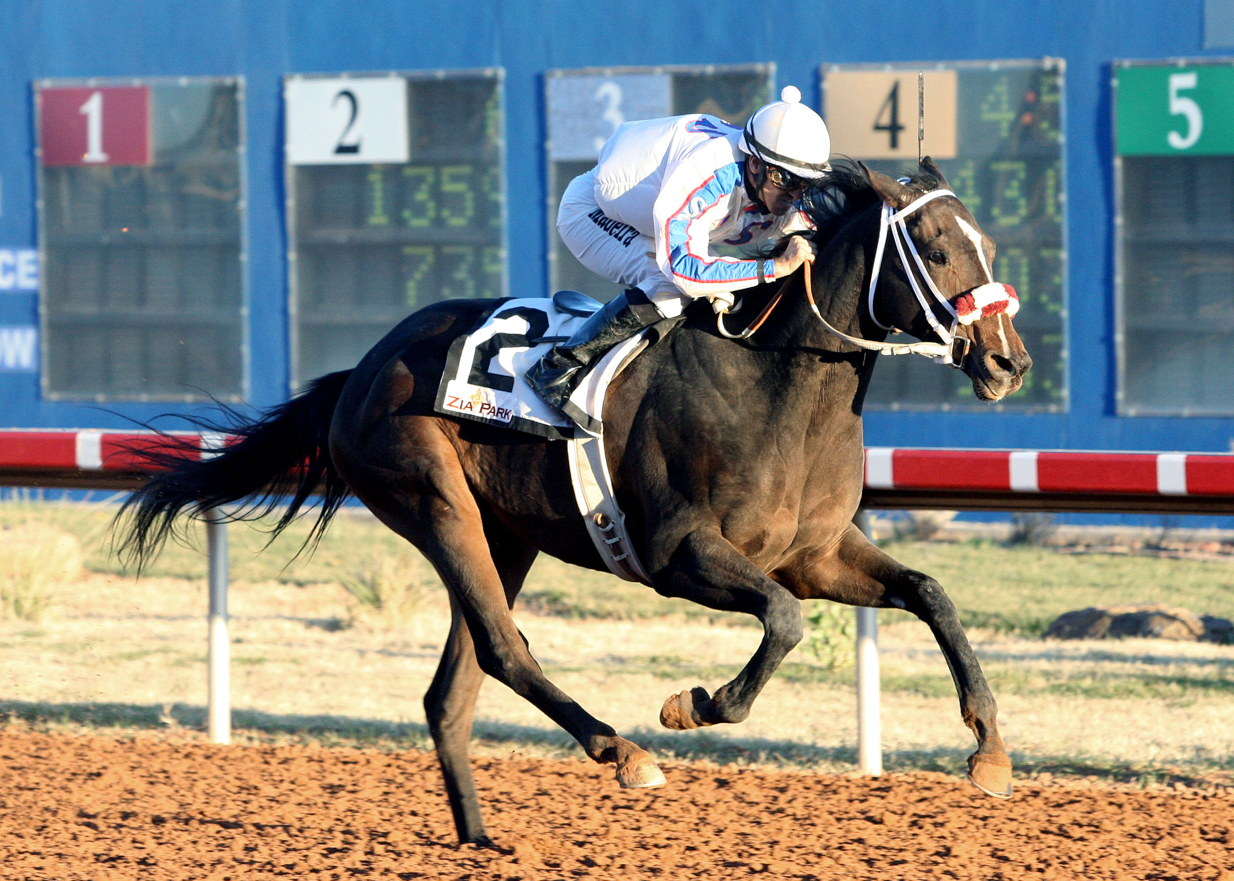 Ol Winedrinker Who 12-1-2012
