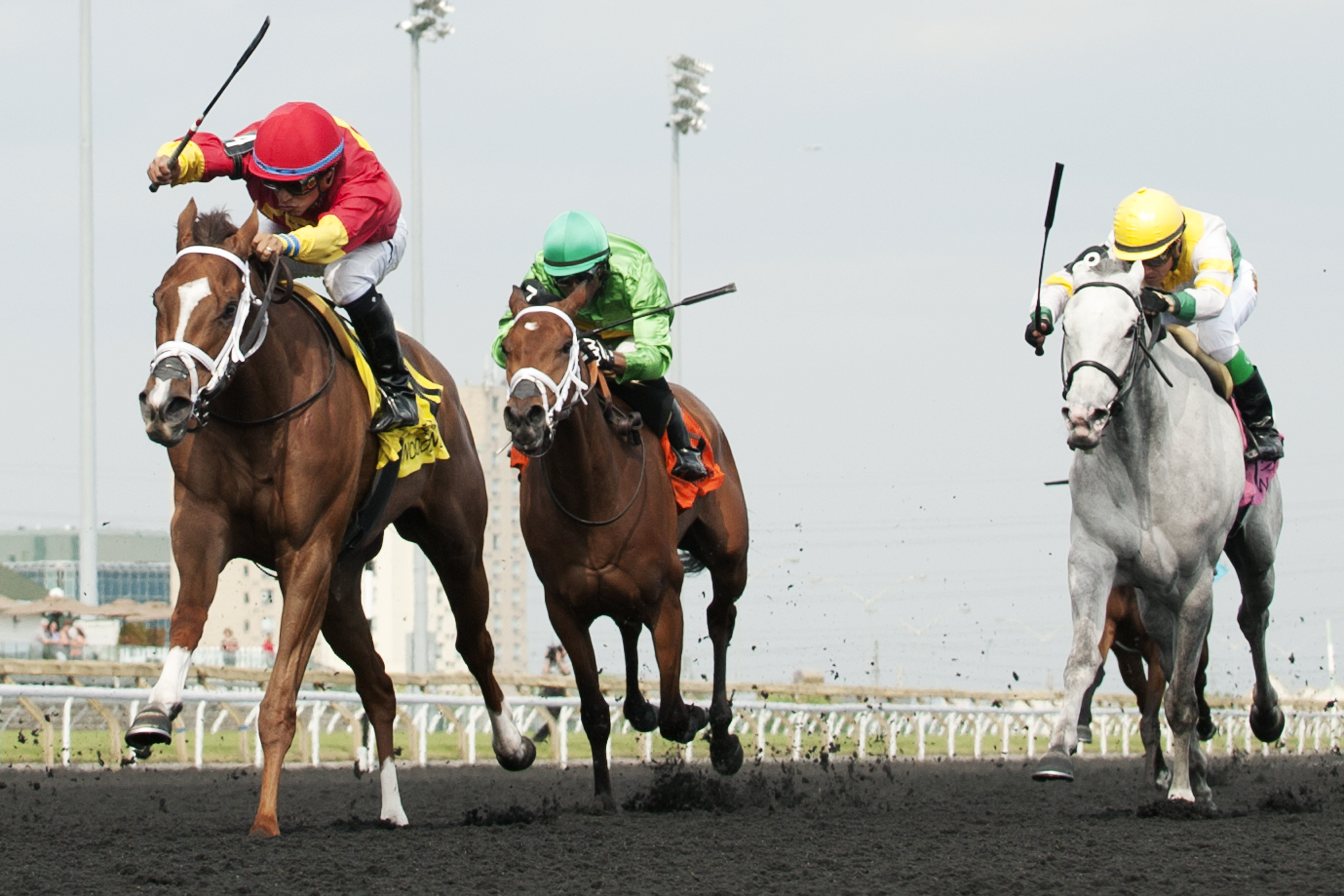 Ol' Fashion Gal wins the Selene Stakes