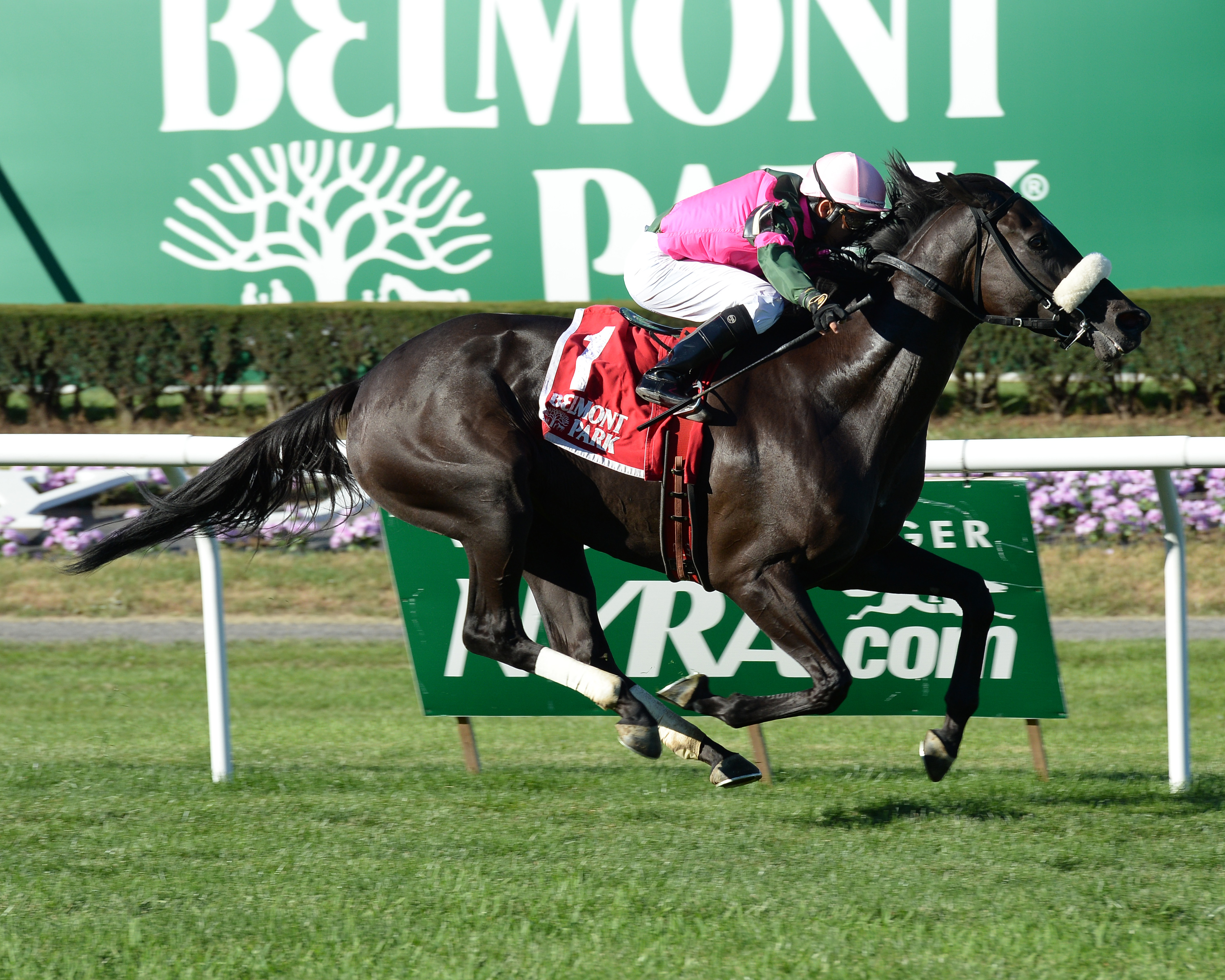 Old Harbor wins the John Hettinger Stakes