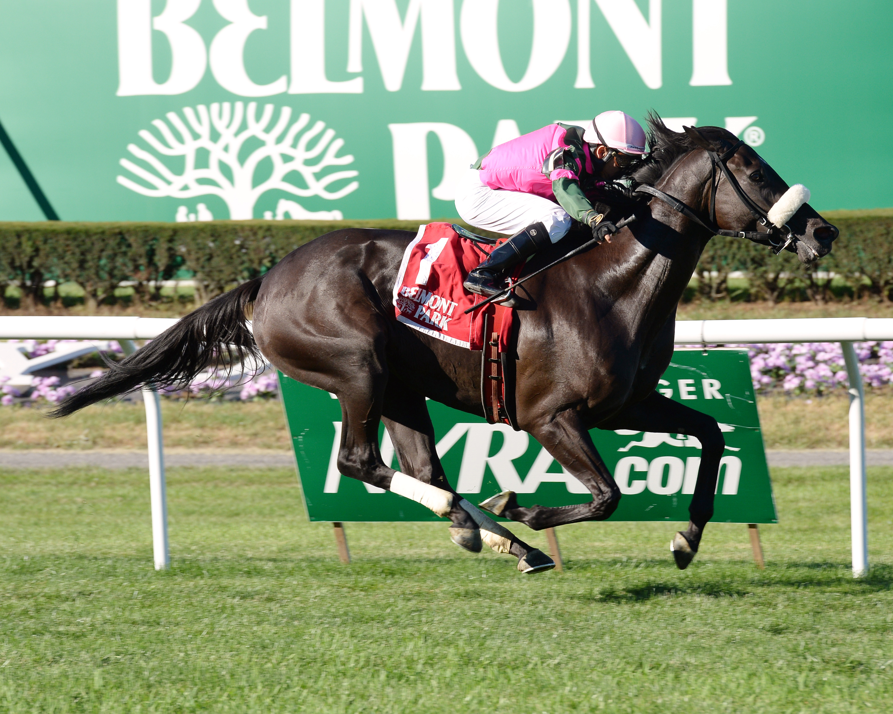 Old Harbor wins the John Hettinger Stakes