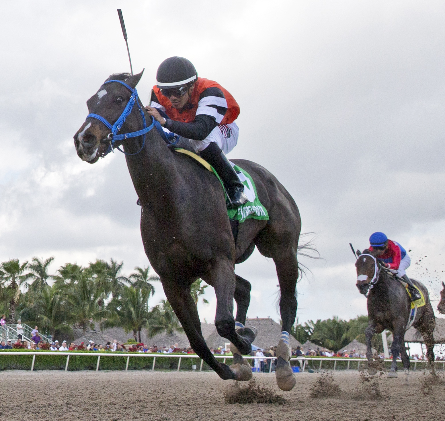 Lucy N Ethel wins 2015 Old Hat