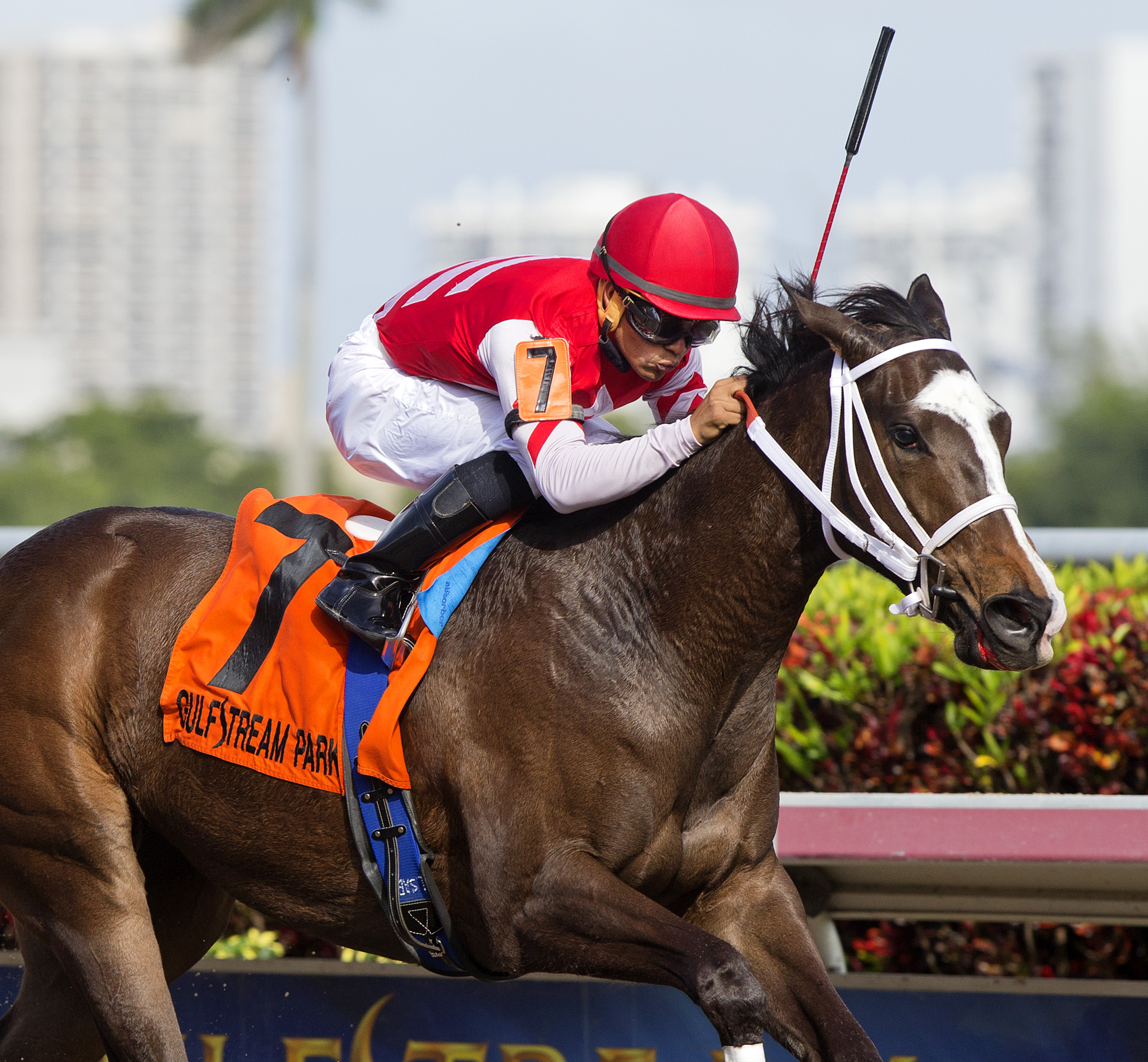 Ekati's Phaeton wins 2015 Old Hat