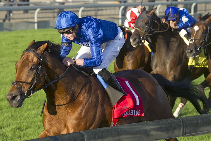 Old Persian wins the 2019 Northern Dancer Turf at Woodbine Racetrack