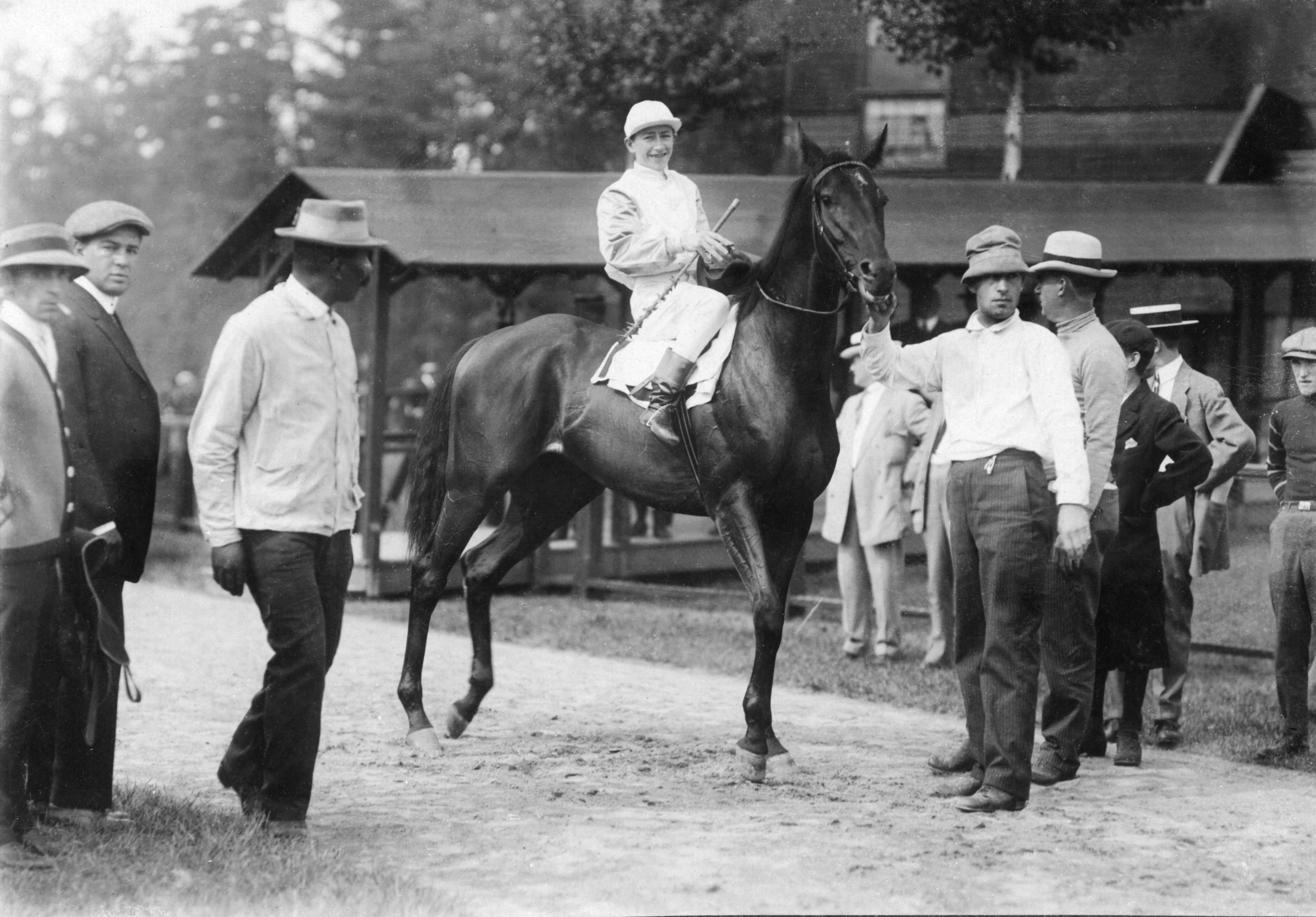 Old Rosebud