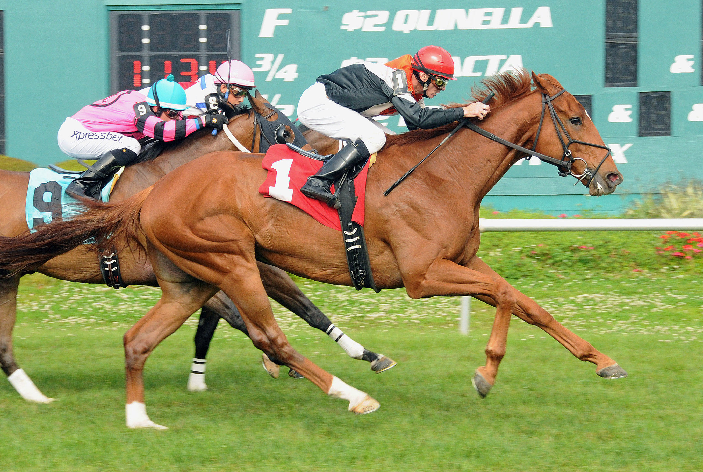 Old Time Hockey wins the Tampa Turf Classic Stakes