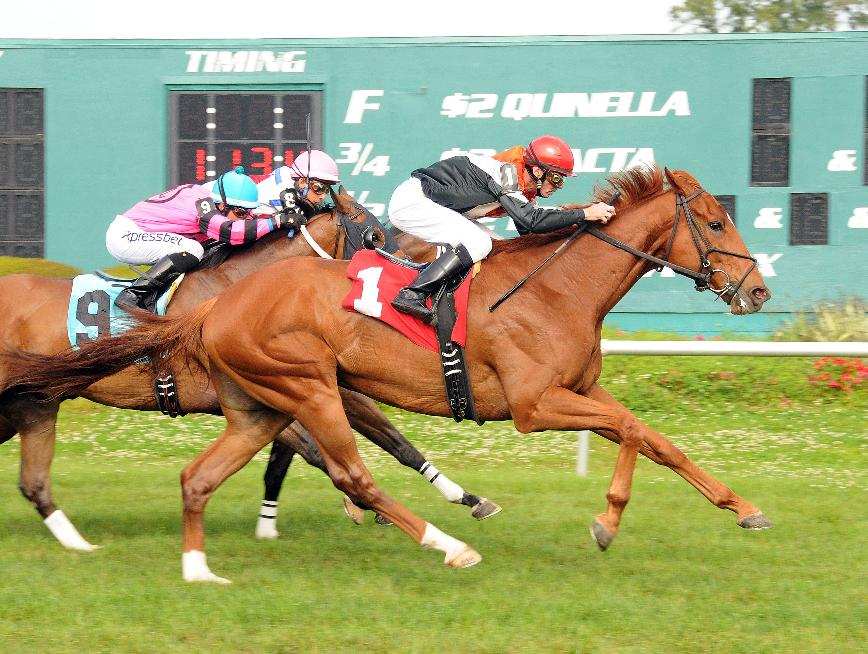 Old Time Hockey wins the 2014 Tampa Turf Classic Stakes
